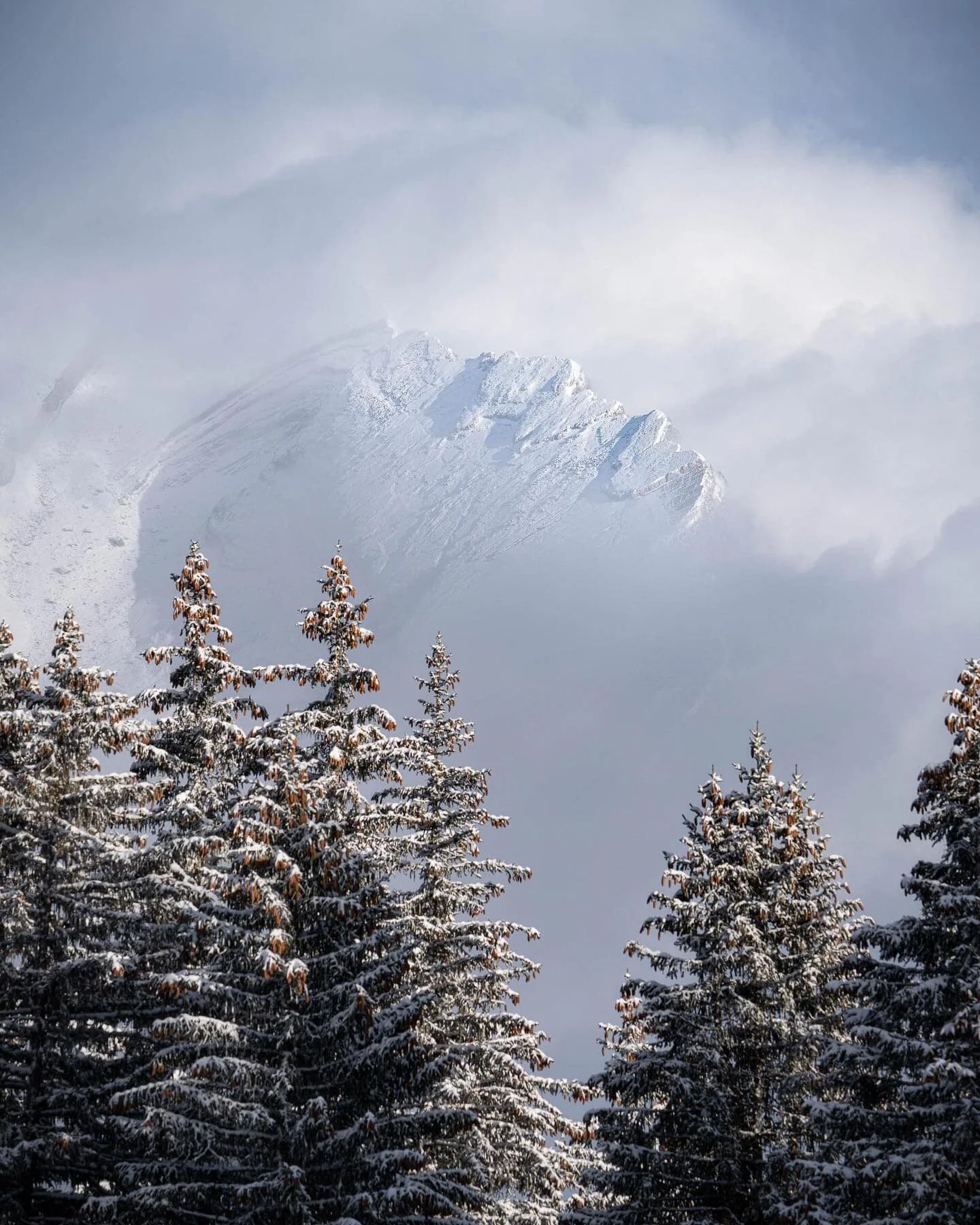 Je vous souhaite &agrave; tous de bonnes f&ecirc;tes !