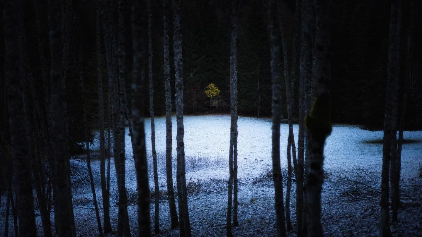 Bonsoir,
Quelque chose de diff&eacute;rent...
Novembre 2021