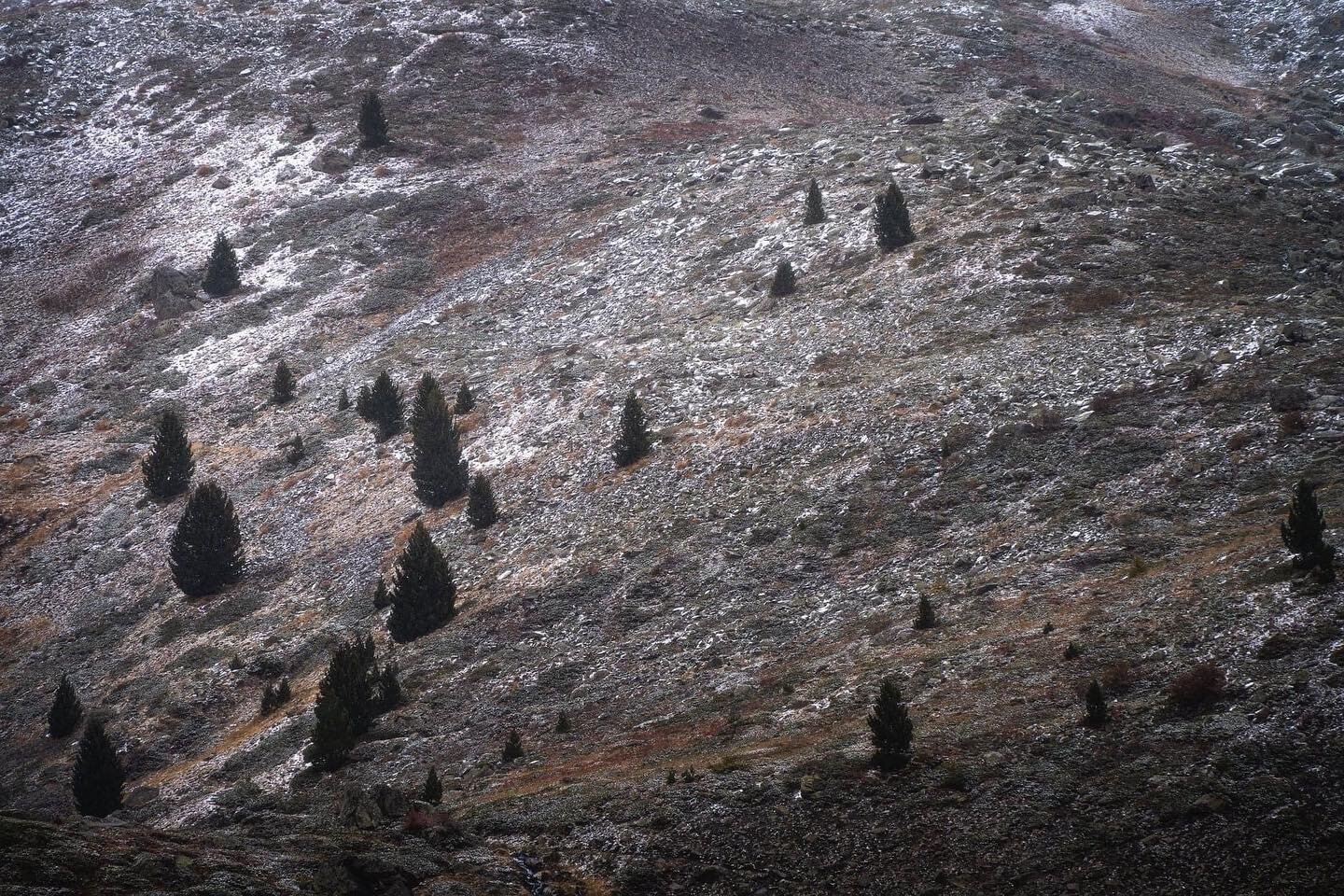 Bonsoir,
Sur cette photo, des alpinistes tentant de gravir une montagne.

Automne 2020