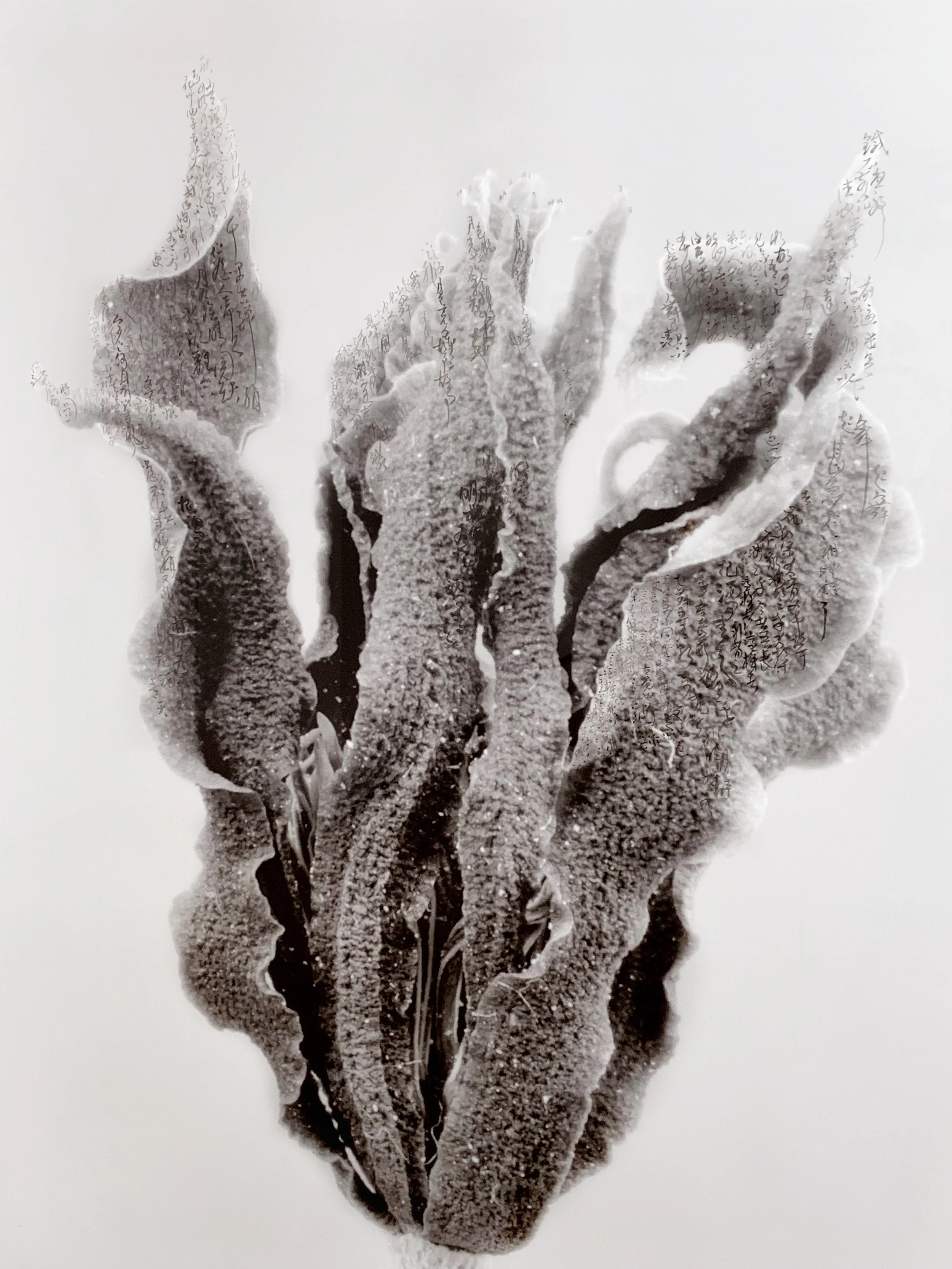 Group exhibition “Women + Ink | China + Hong Kong” at Alisan Fine Arts