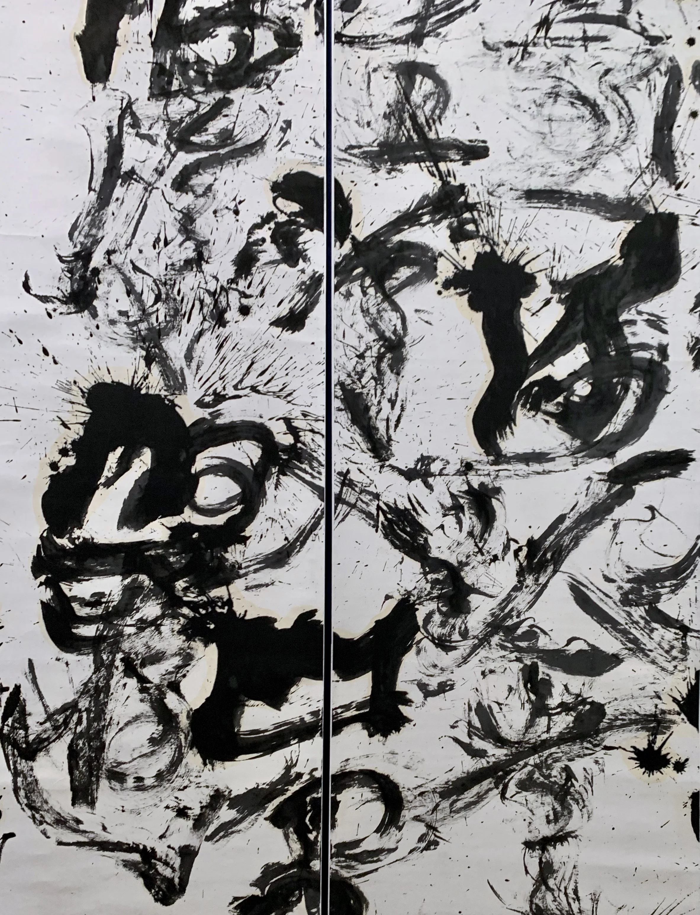 Joint exhibition “Wild Nature: The Gestural Brush of Shen Aiqi and BuZi” at Hanart TZ