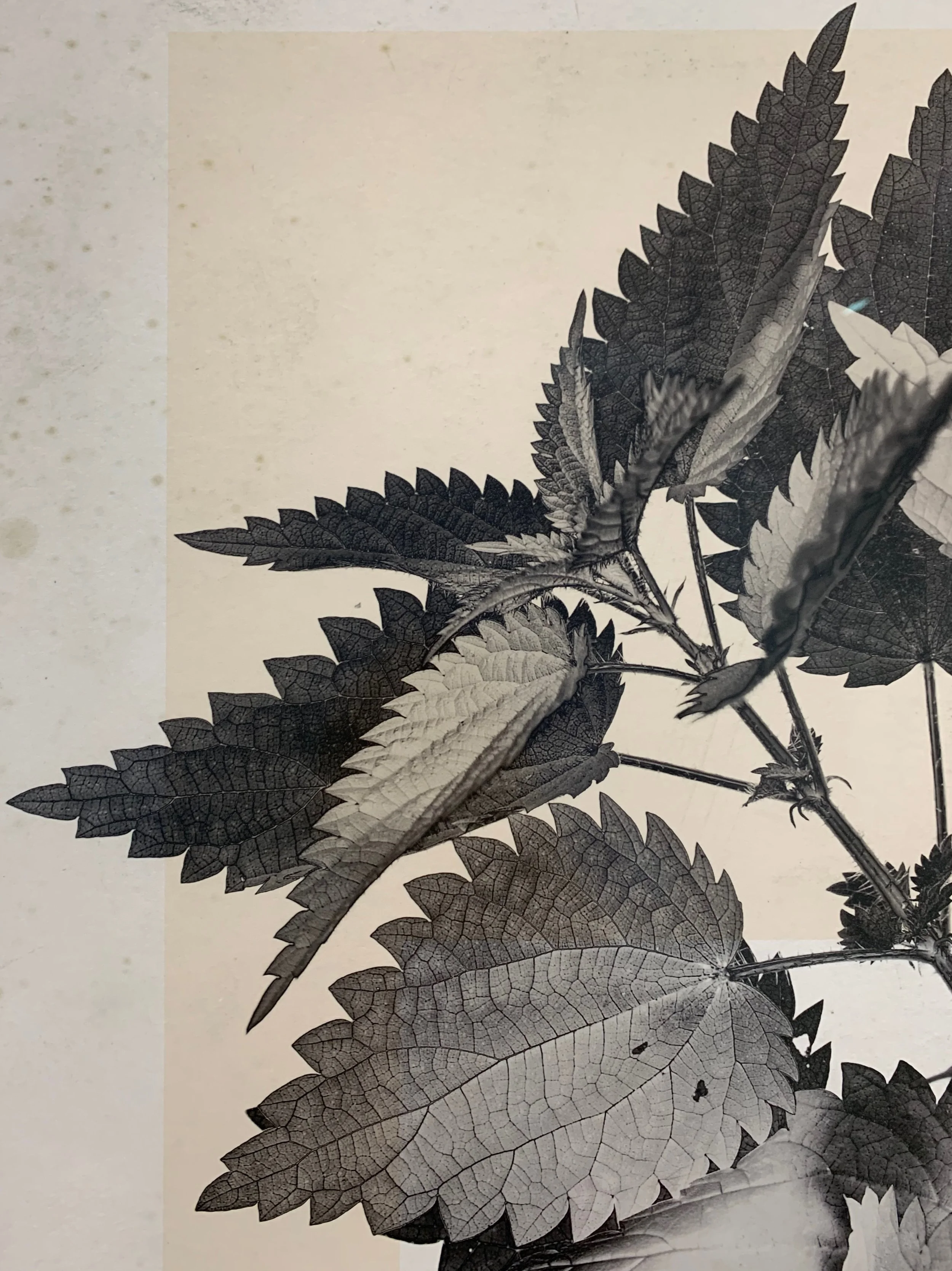 Exhibition “Transforming Photography” by Thomas Ruff at David Zwirner Gallery