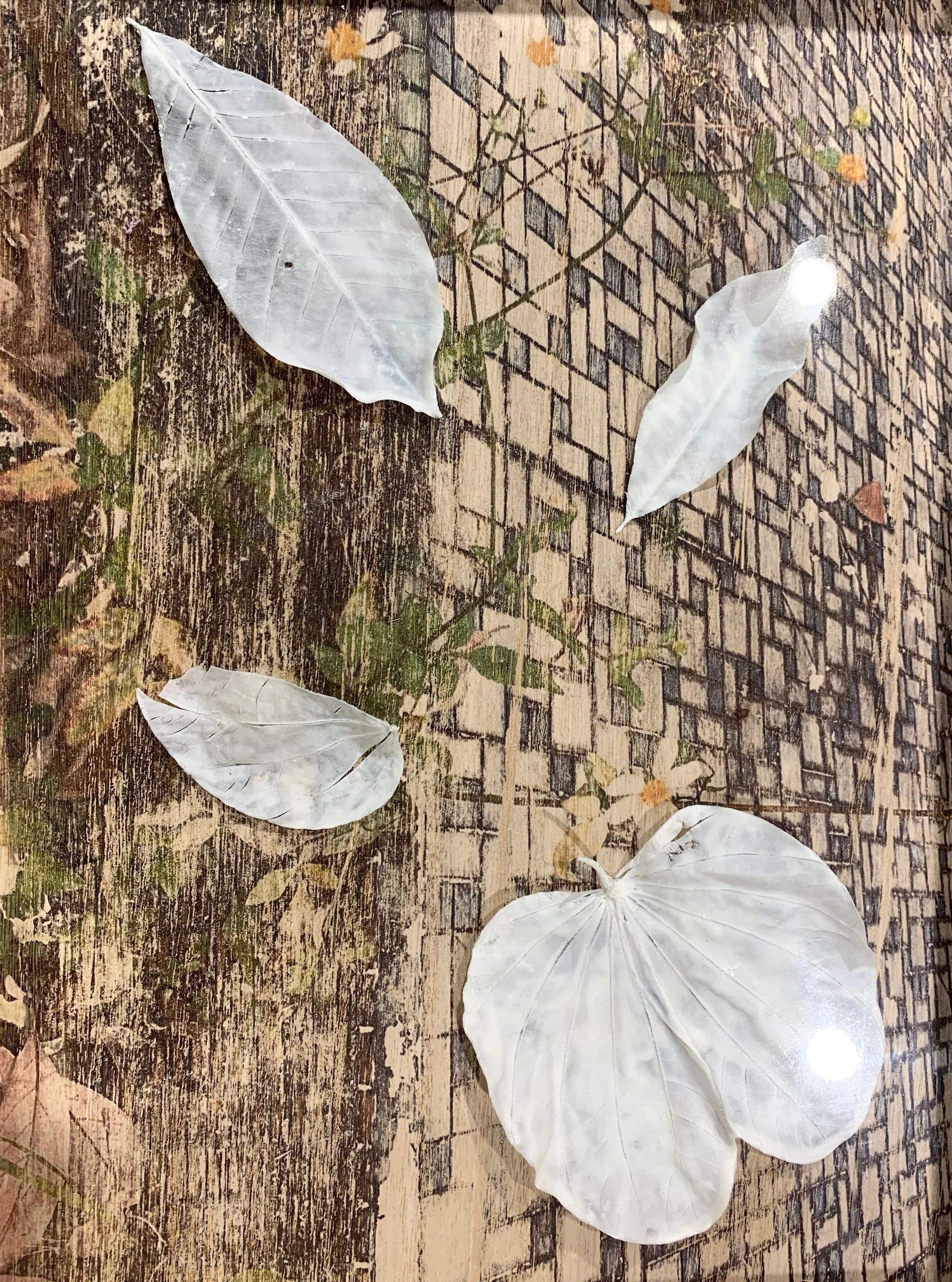 Exhibition by Sara Tse at Giant Year Gallery