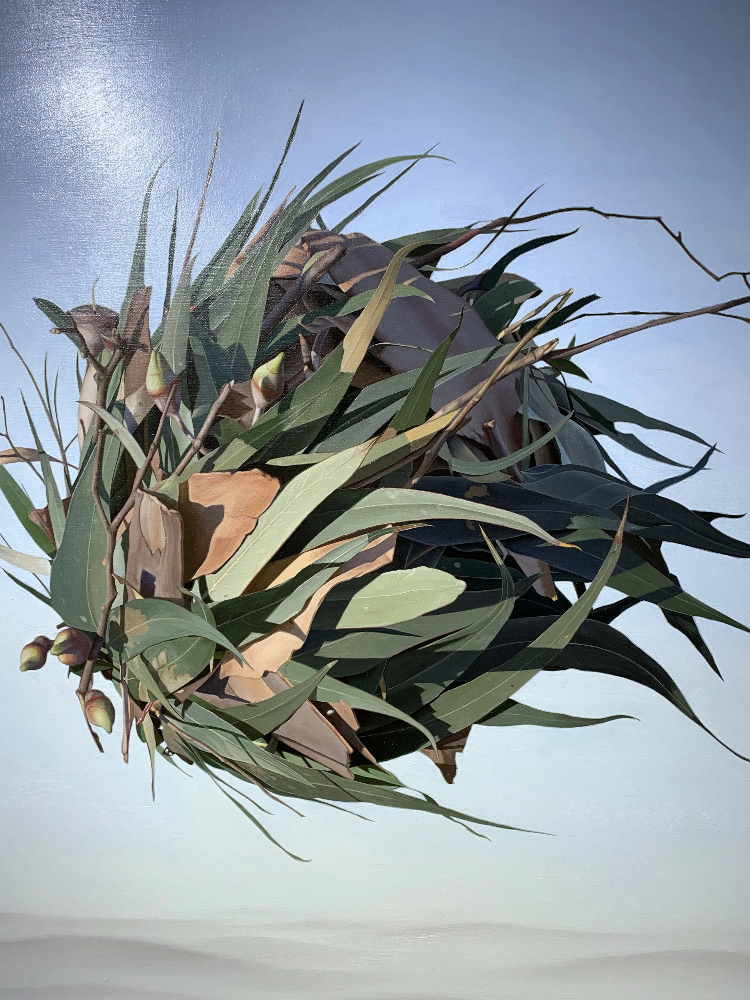 Exhibition “Blank” by Juan Ford at Galerie du Monde