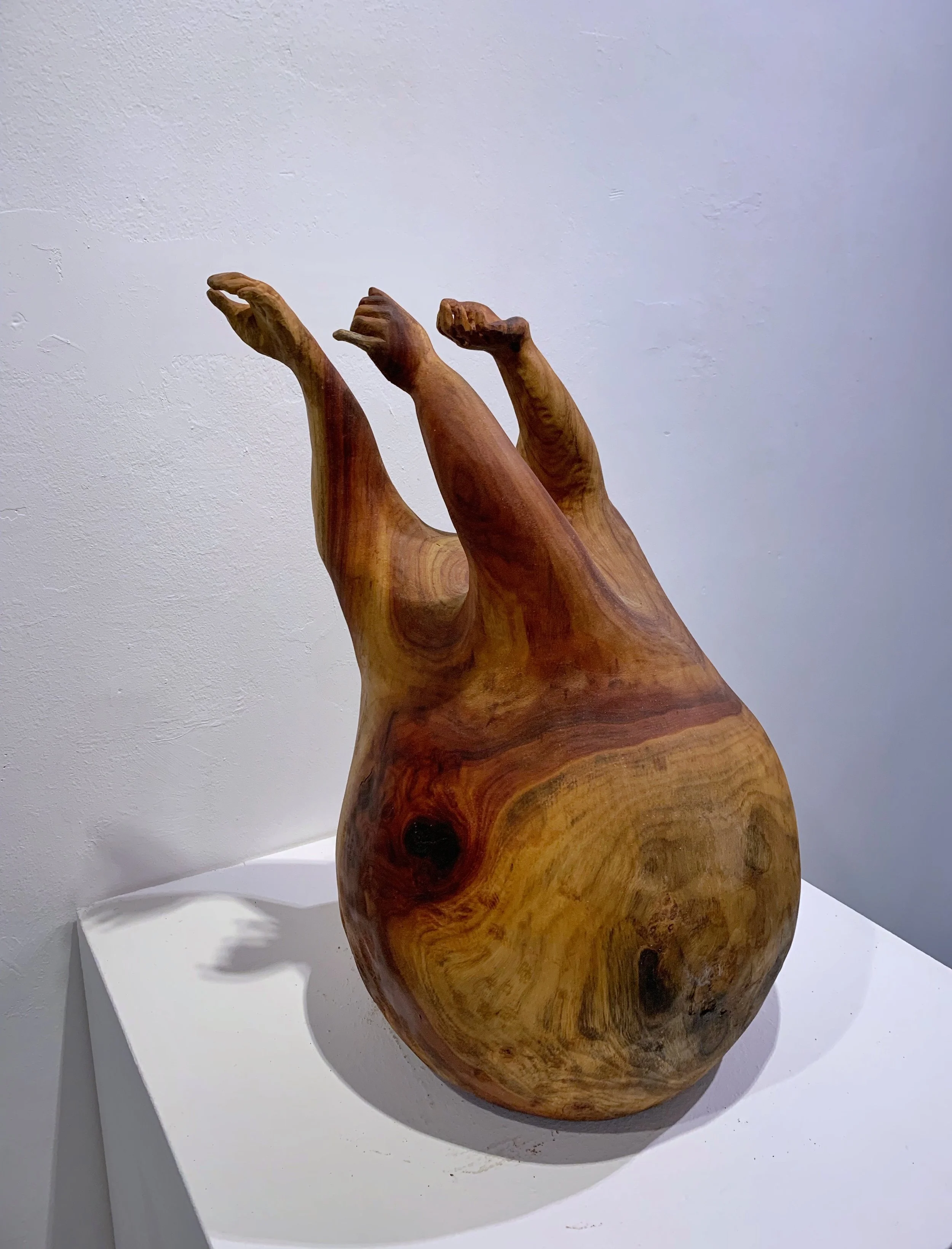 Group exhibition “Consolidated Symbols” at Hong Kong Visual Arts Centre