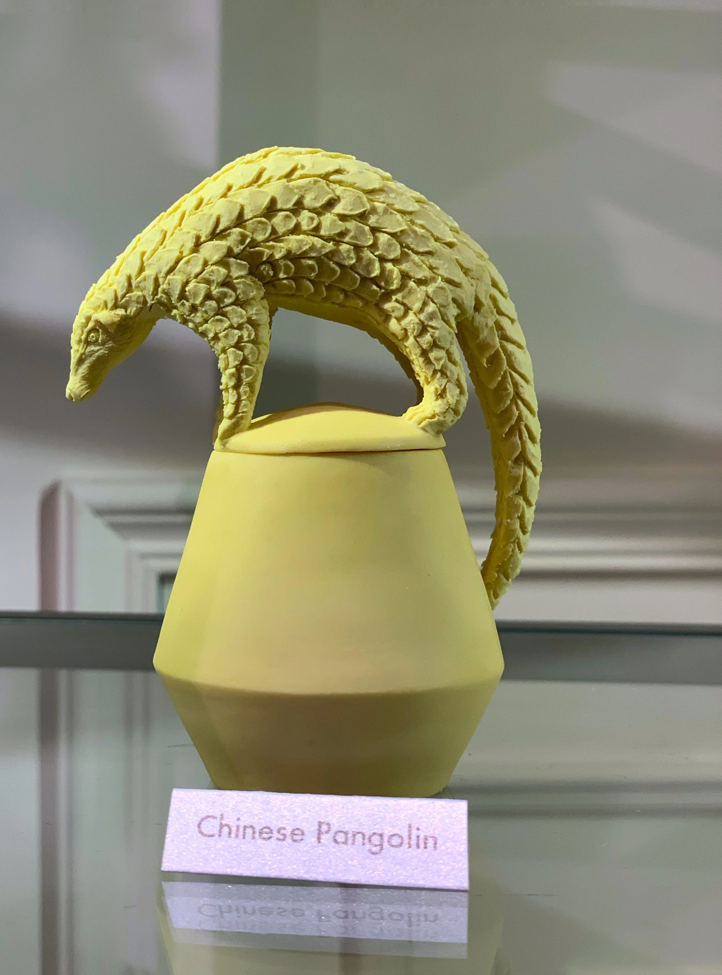 Exhibition by Charlotte Mary Pack at Maison Huit