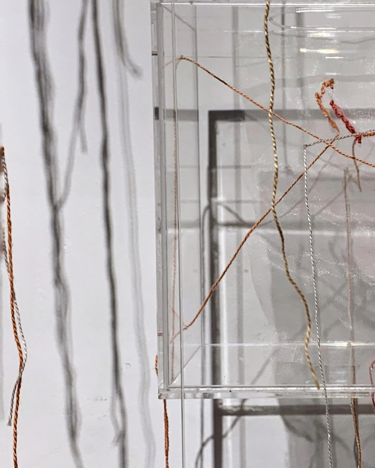 Exhibition “Bloomed” by Ophelia Jacarini at KONG Art Space