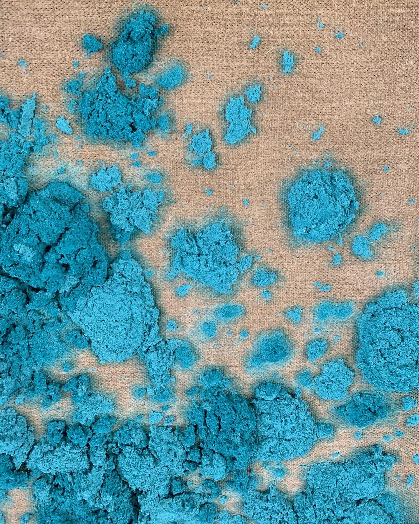 Open studio visit with Bosco Sodi organized by Axel Vervoordt Gallery