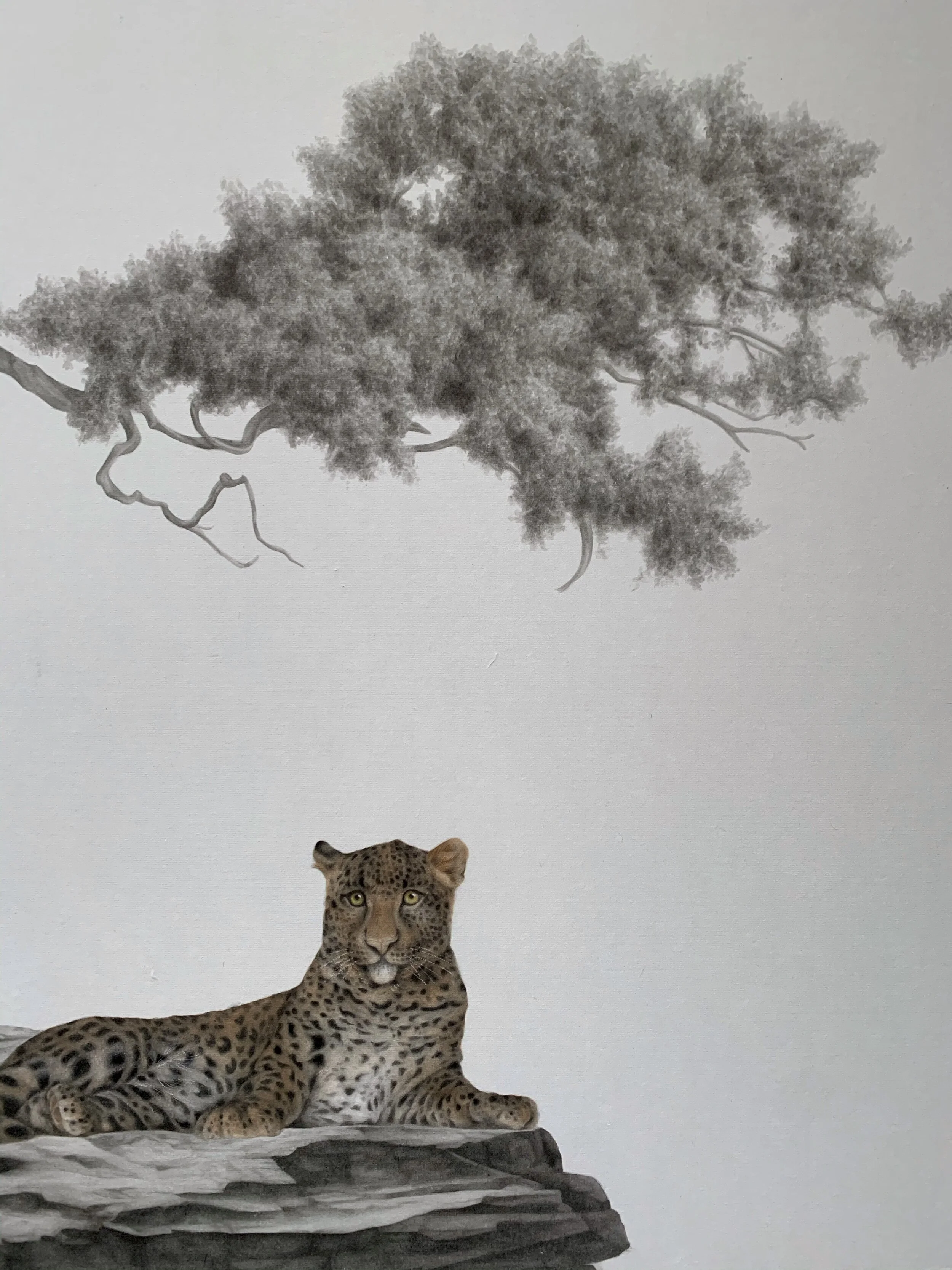 Exhibition Art Salon: Qin Ai at Ora-Ora Gallery