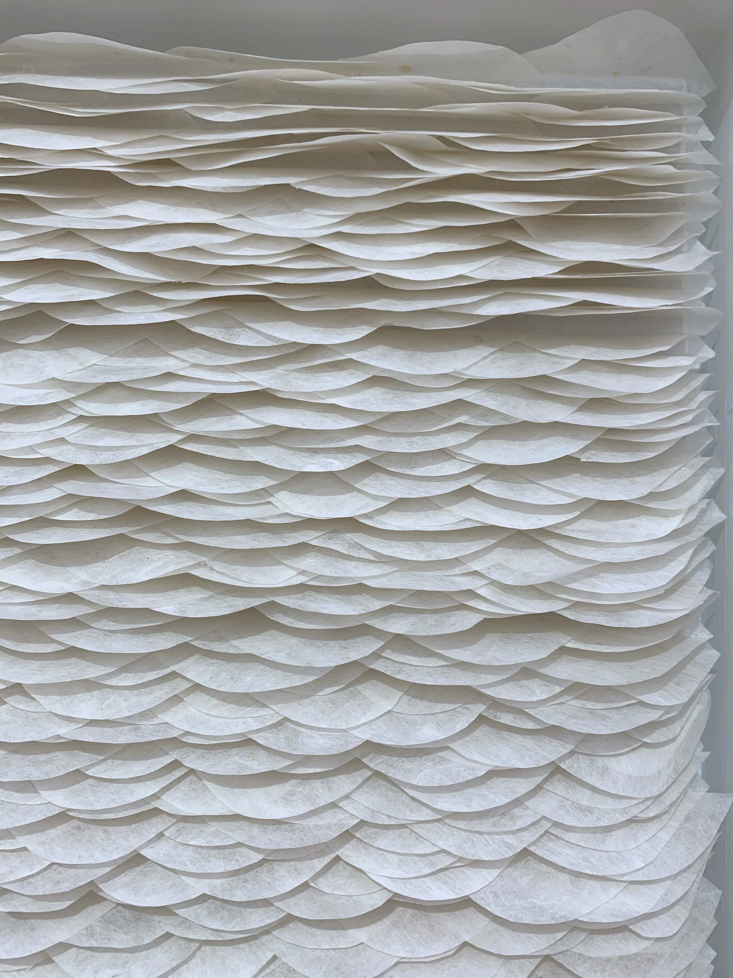 Gallery Collection at Whitestone Gallery