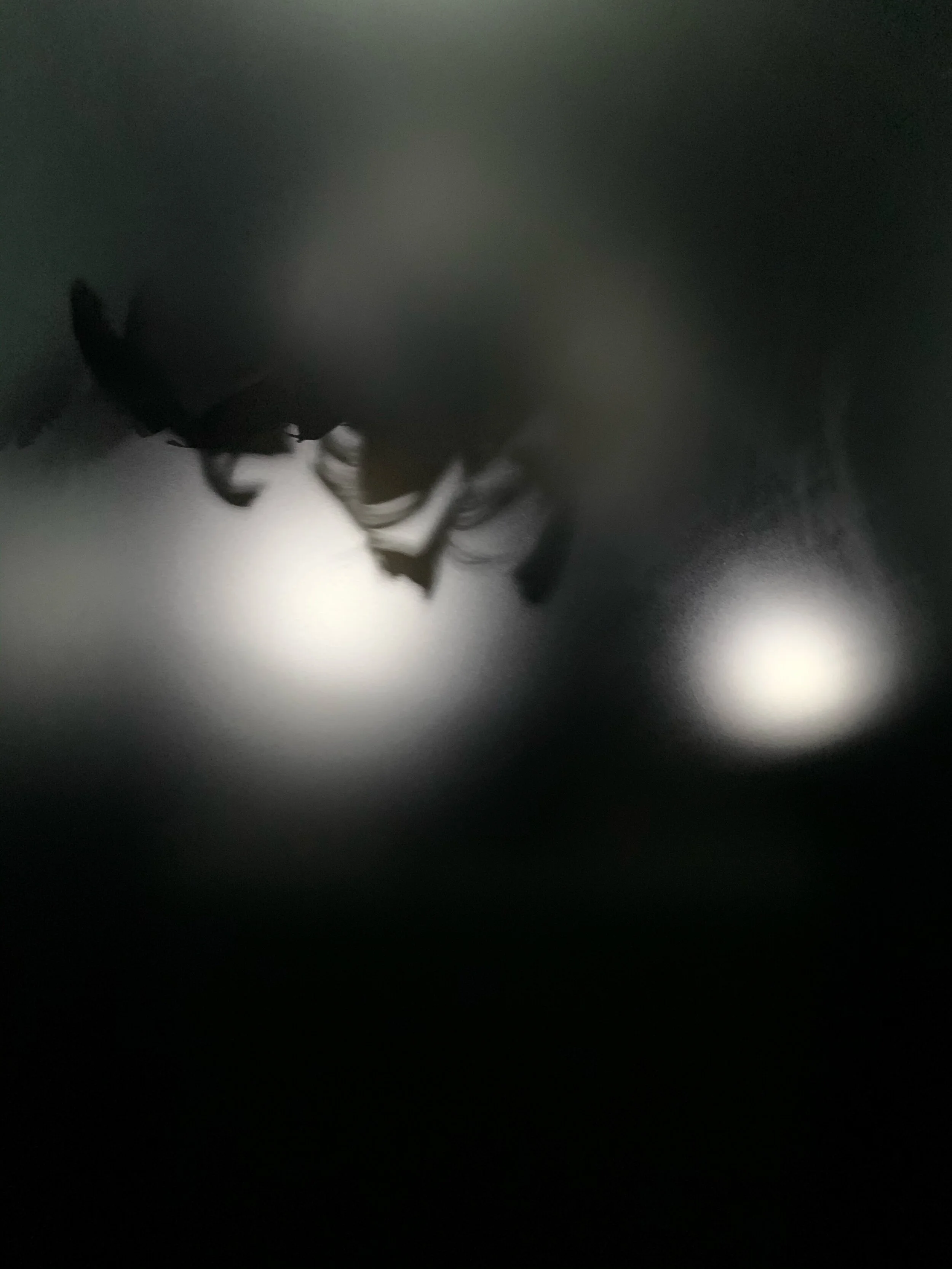 Diane Severin Nguyen and James T. Hong Exhibitions at Empty Gallery