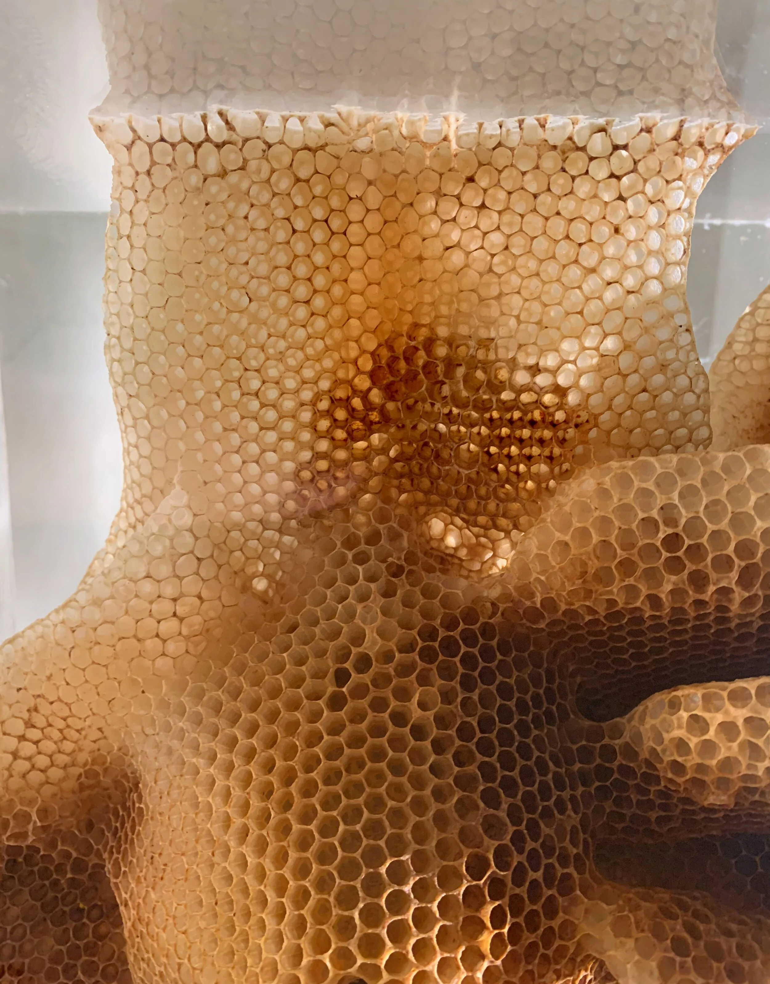 Group exhibition Accidents [Part I] at Pearl Lam Galleries