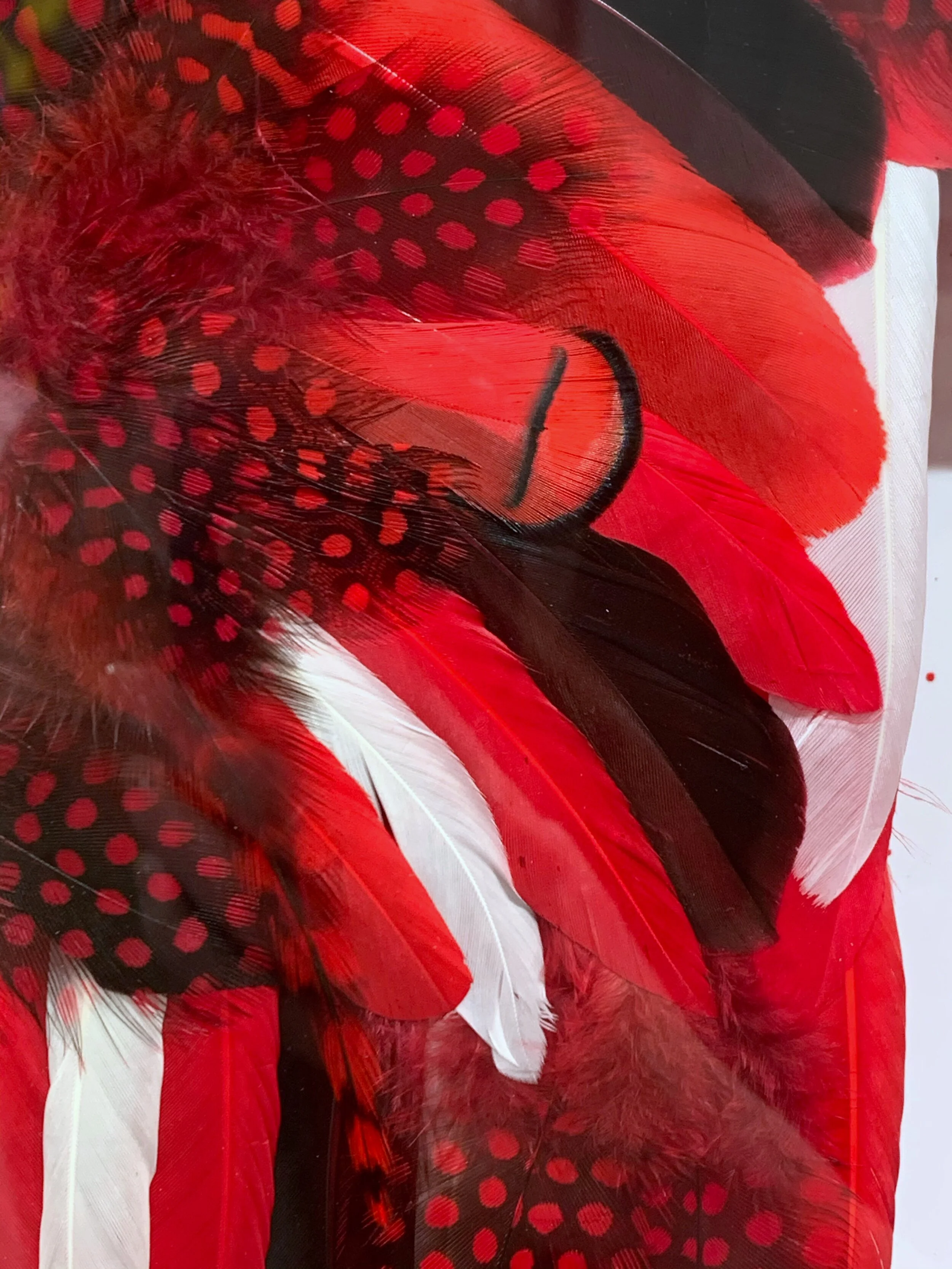 Exhibition “Plumes ‘n’ Love” by PLUM at Art Supermarket