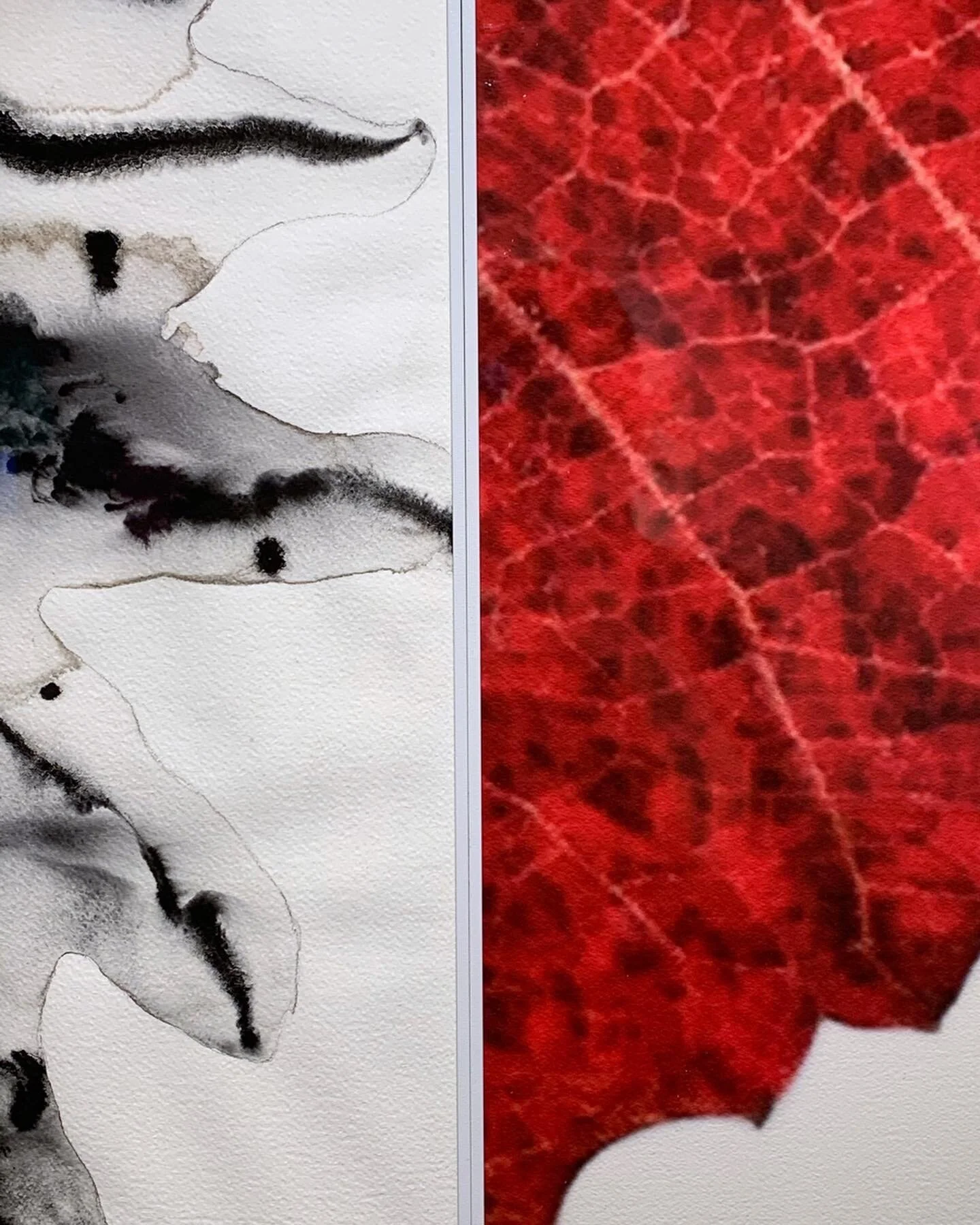 Exhibition “Ineffable Garden” by Zhang Jian-Jun and Barbara Edelstein at Alisan Fine Art