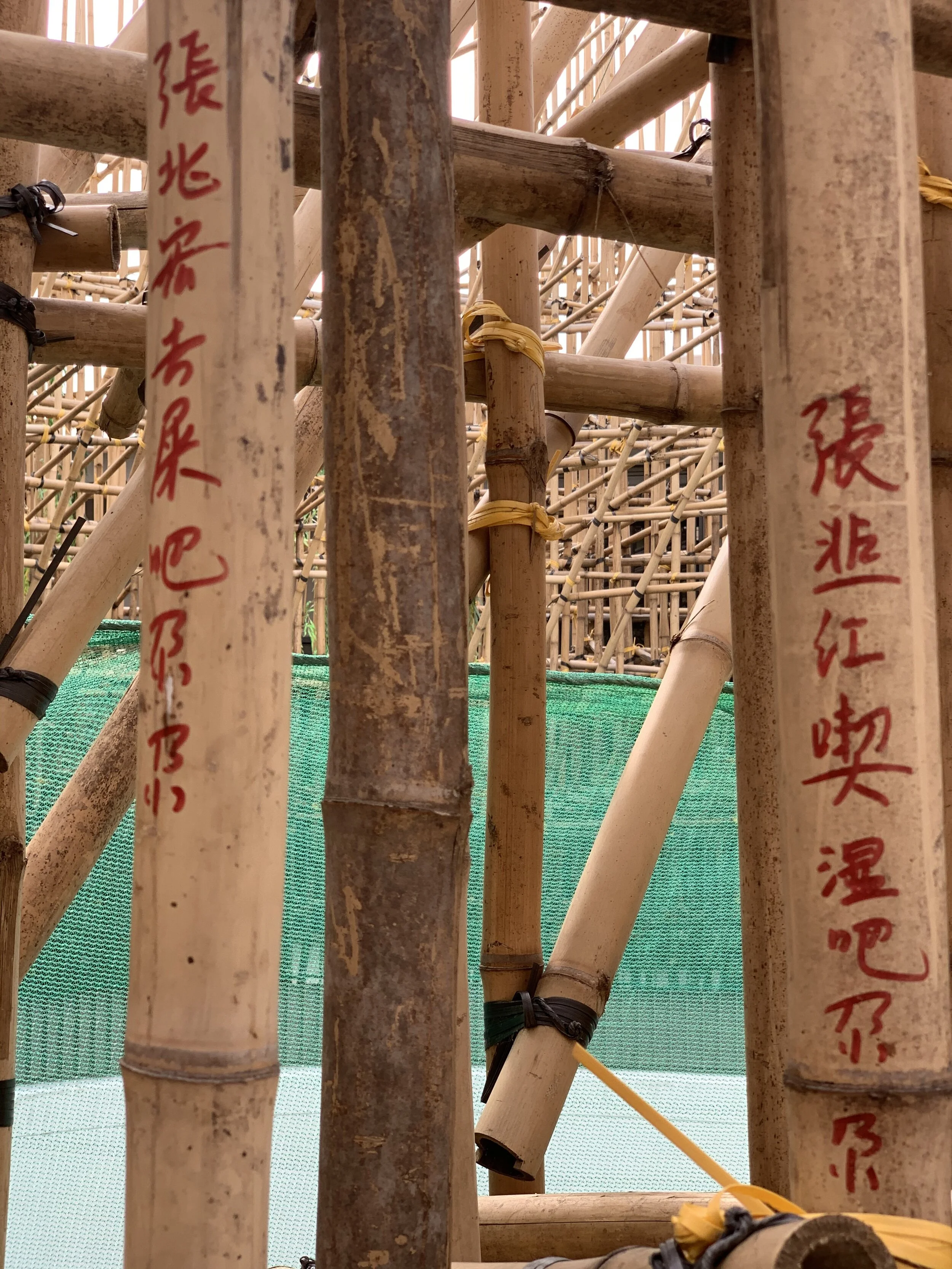 Sigg Prize exhibition at M+ Pavilion