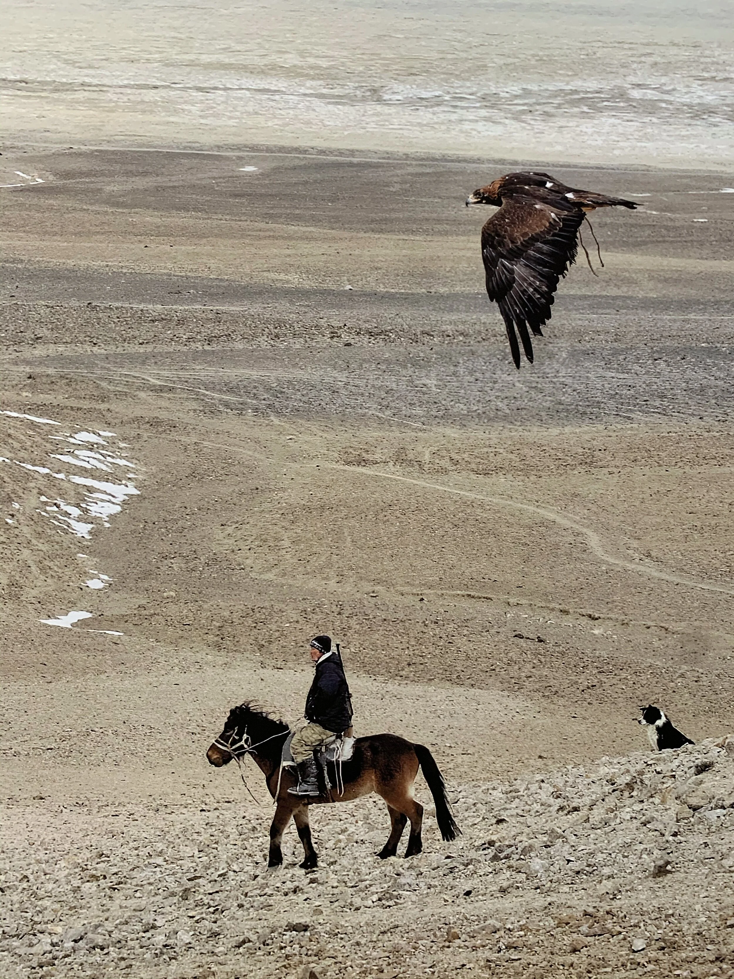 Exhibition 'Back to Nature' by Marc Progin at Blue Lotus Gallery