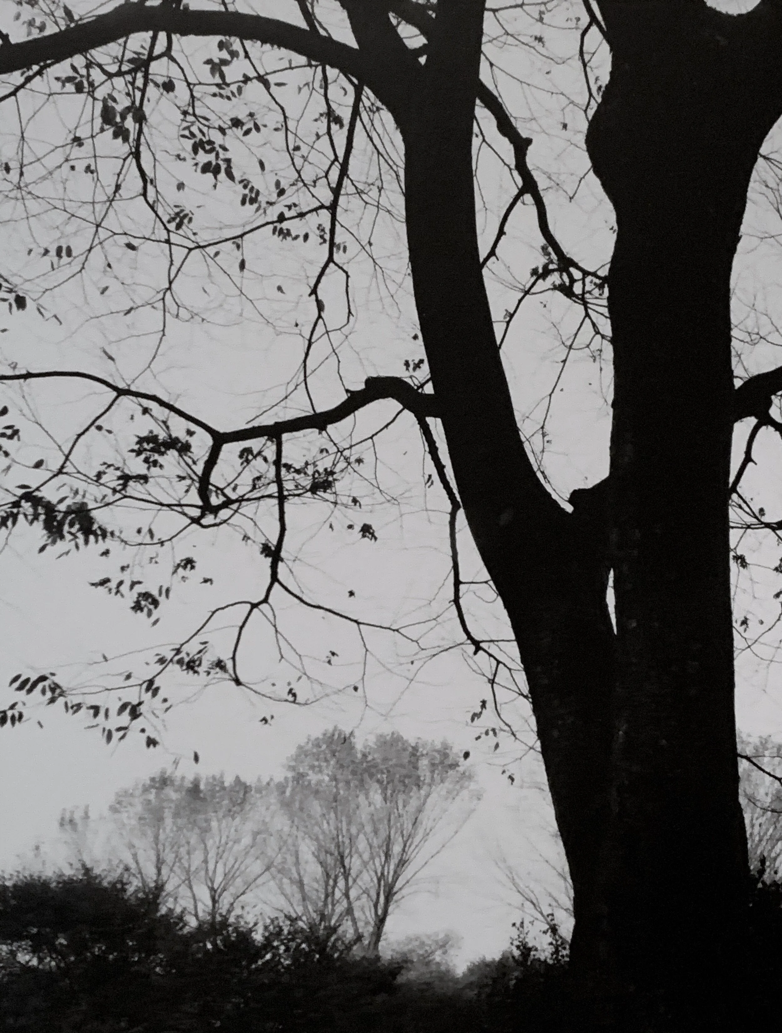 Exhibition “Memories of Wandering” by Bae Bien-U at Axel Vervoordt