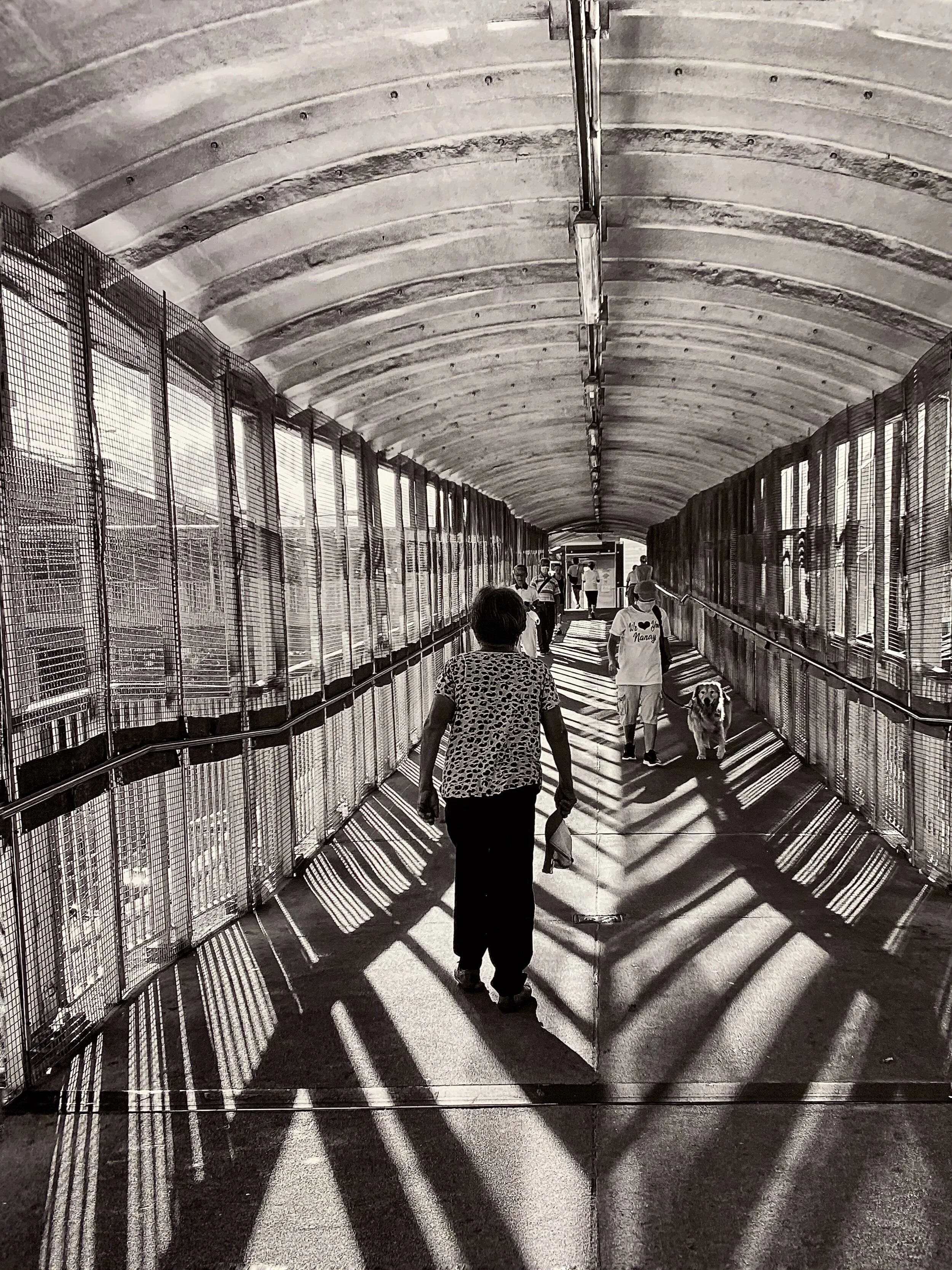 Exhibition by Stephen King at Alisan Fine Art (Aberdeen)