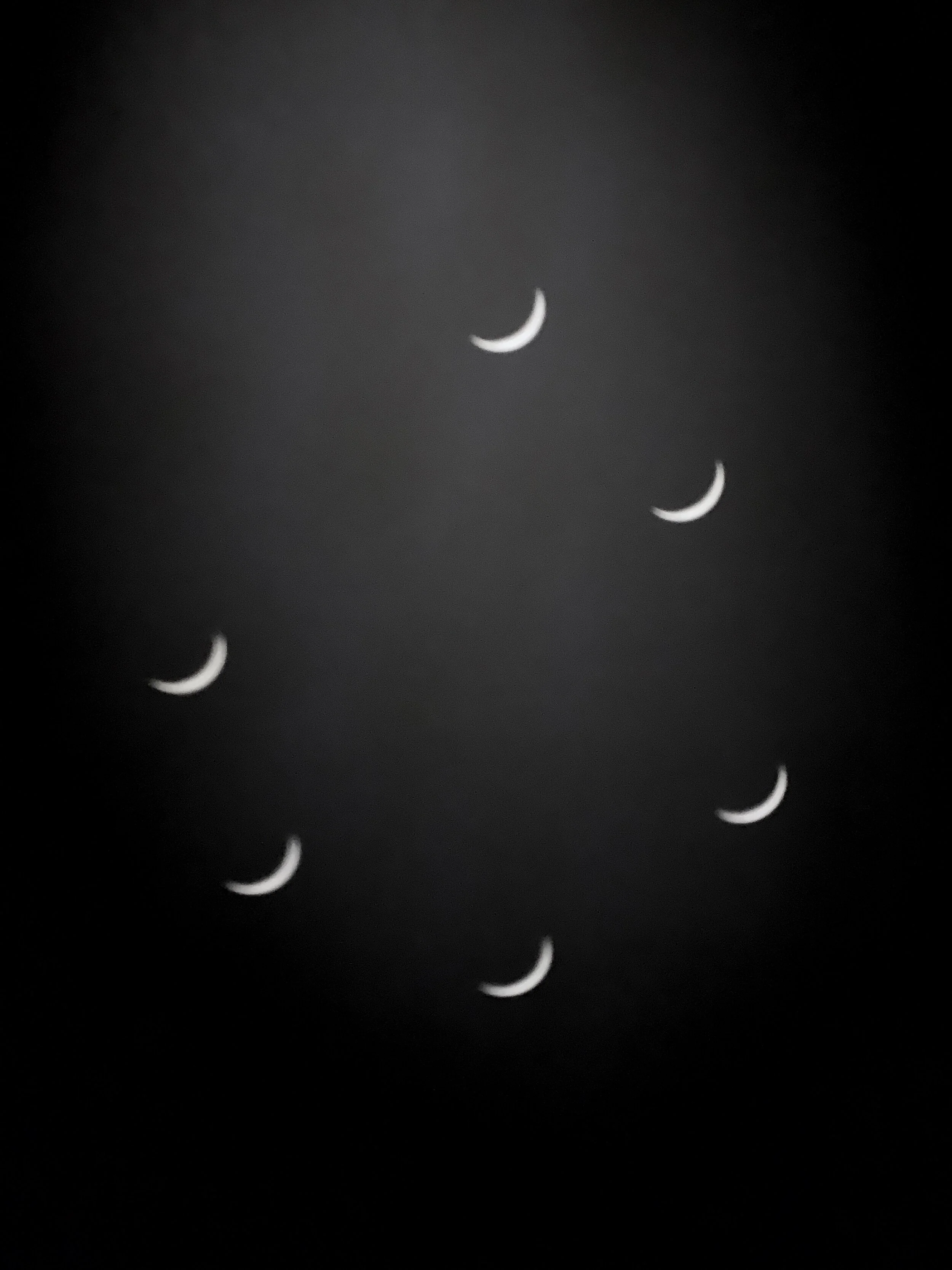 Exhibition “Solace” by Stephanie Teng at The Wild Lot