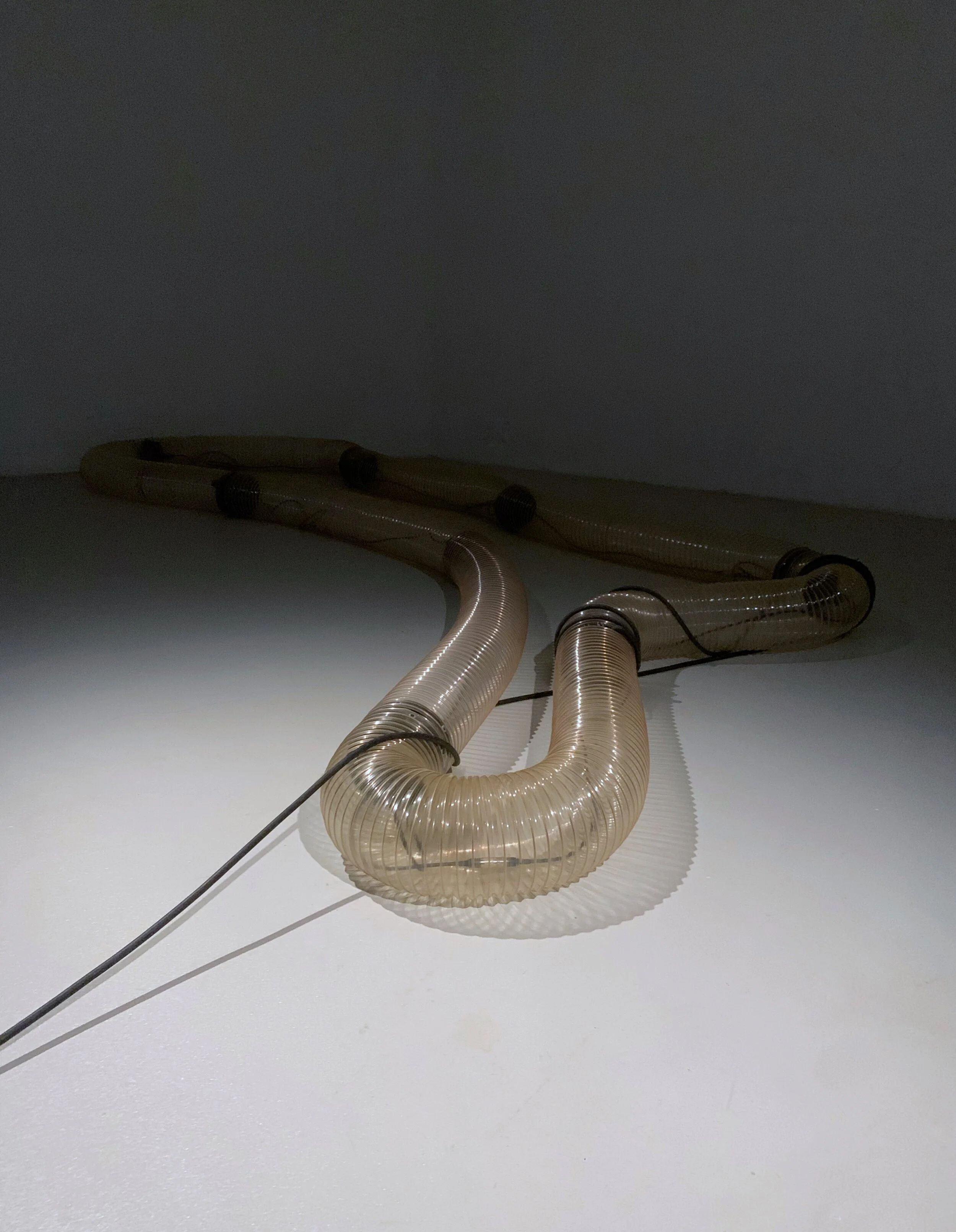 Group exhibition CINEMA 2.0 Media Arts Exhibition: Counter Visions at Pao Galleries