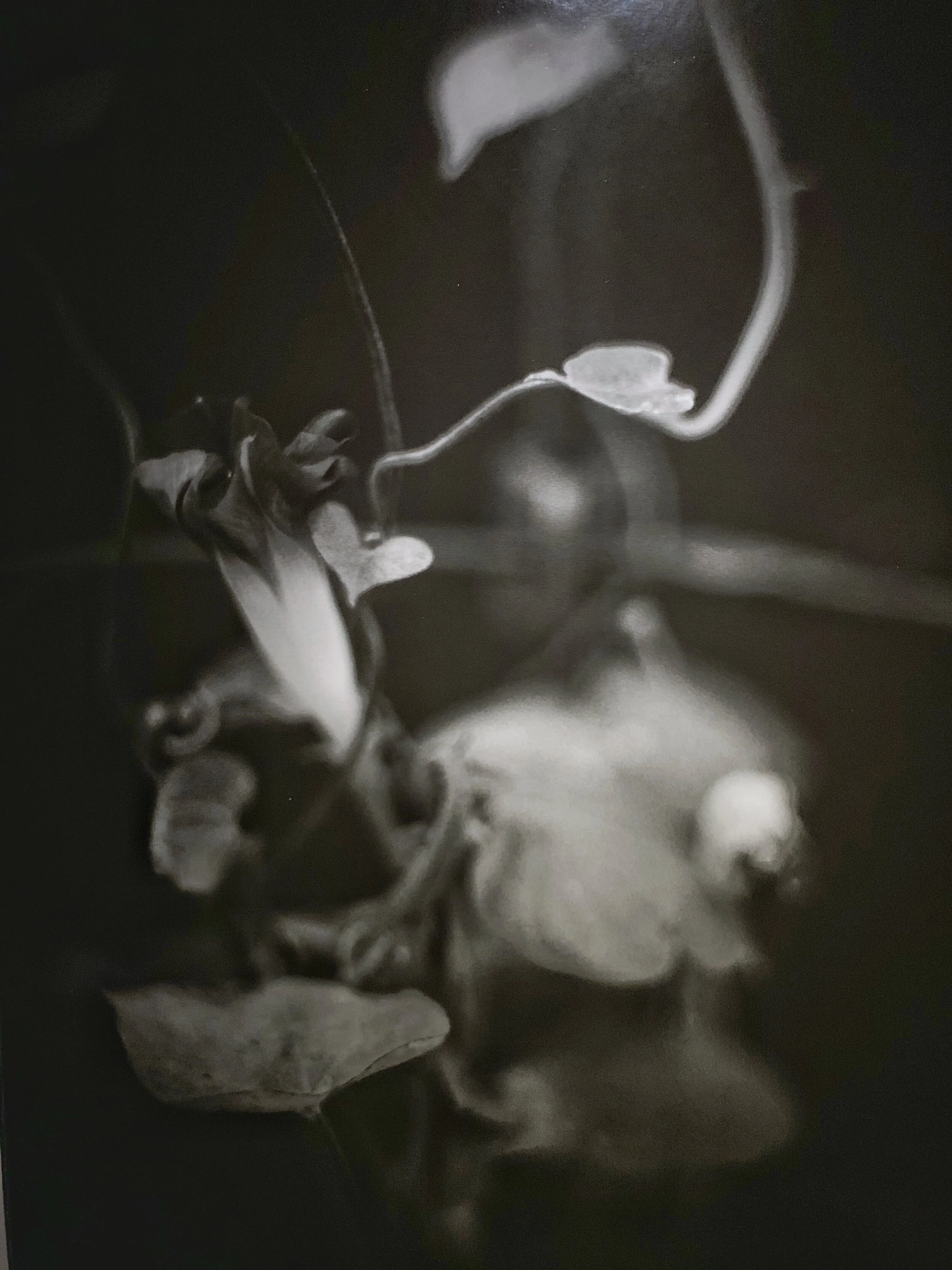 Exhibition “Rumour Has It” by Taro Masushio at Empty Gallery