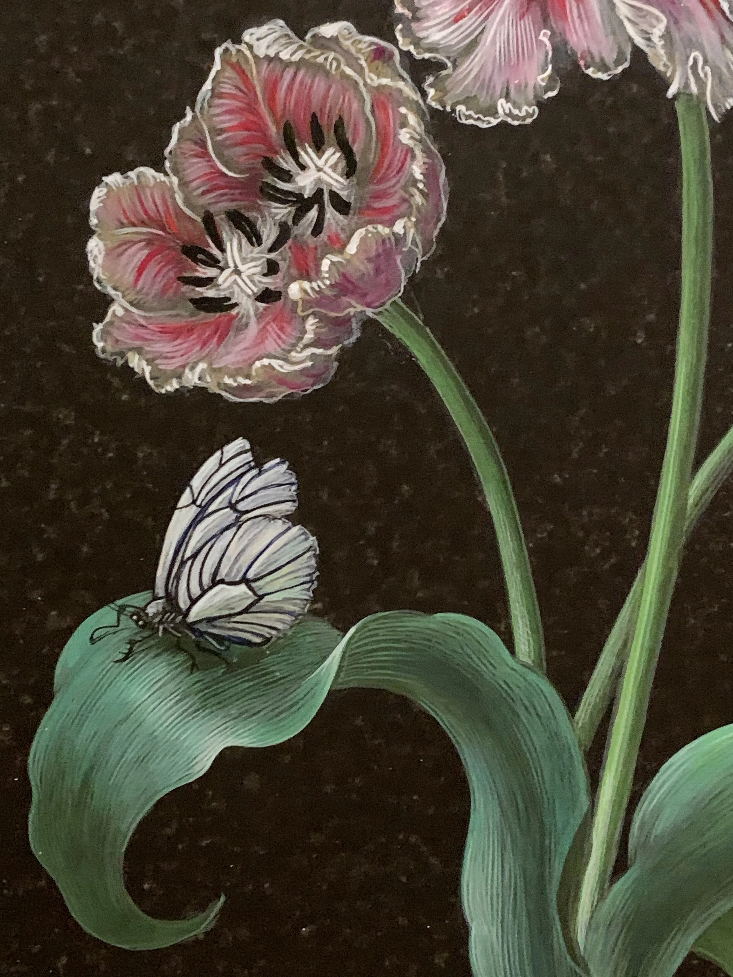 Exhibition “Future Herbarium” by Laurent Grasso at Perrotin