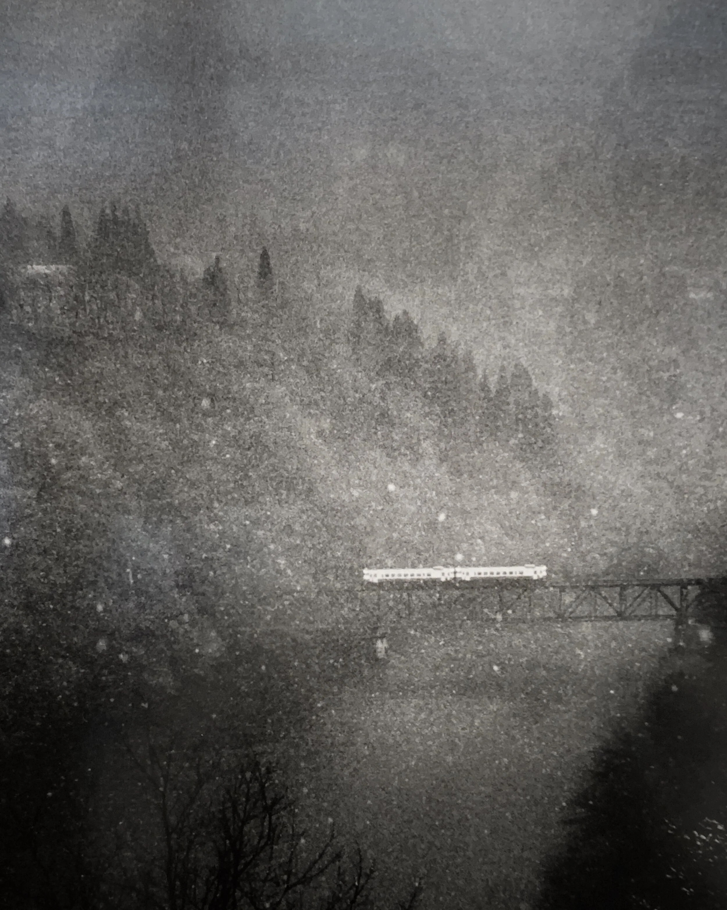 Exhibition “The Dreaming” by Yasuhiro Ogawa at Blue Lotus Gallery