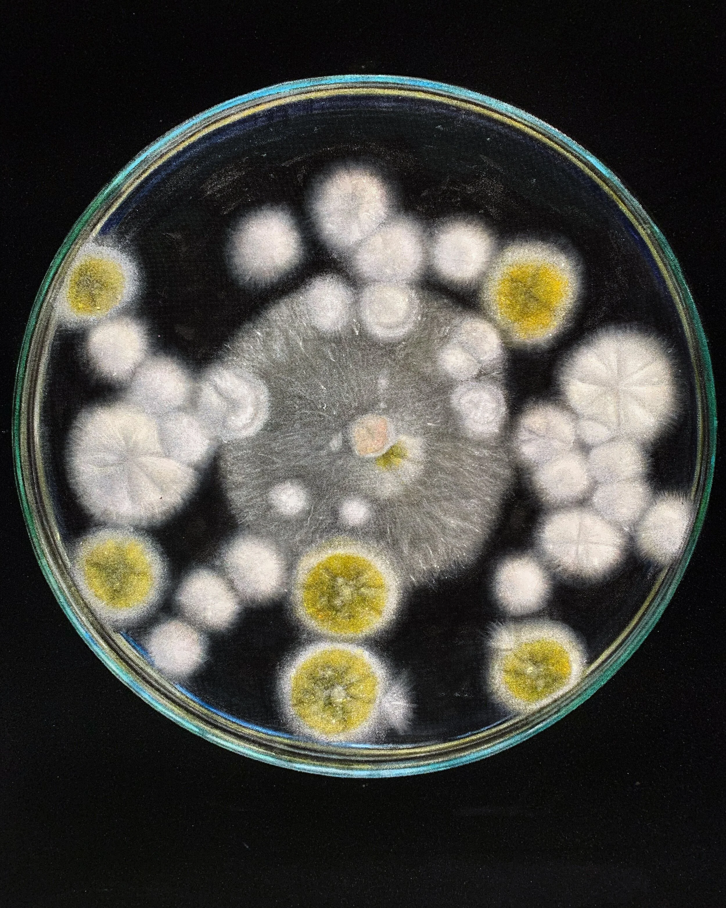 Duo exhibition “A Cow's Head And a Horse's Jaw” at Karin Weber Gallery