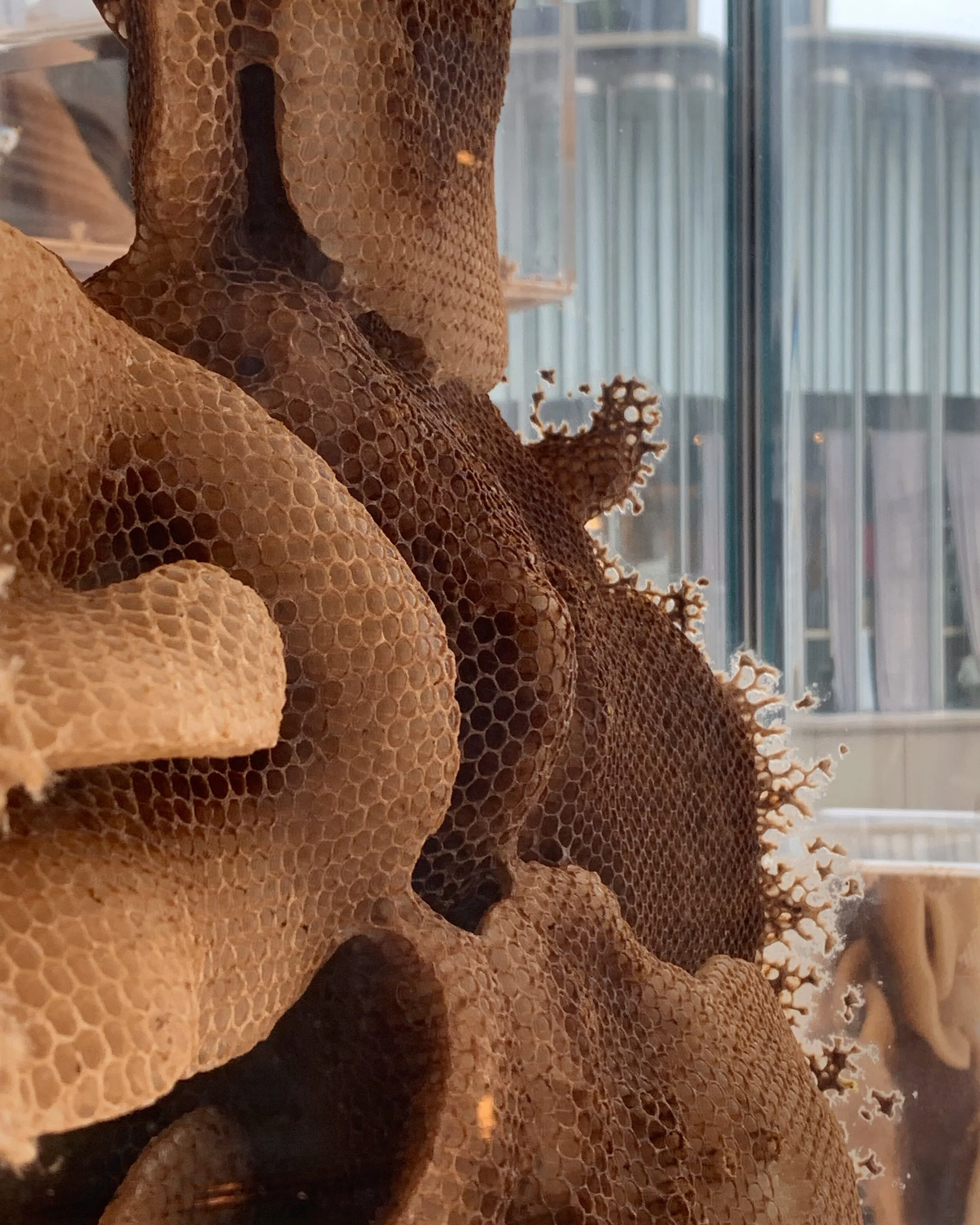 Ren Ri: Yuansu by Pearl Lam at K11 MUSEA