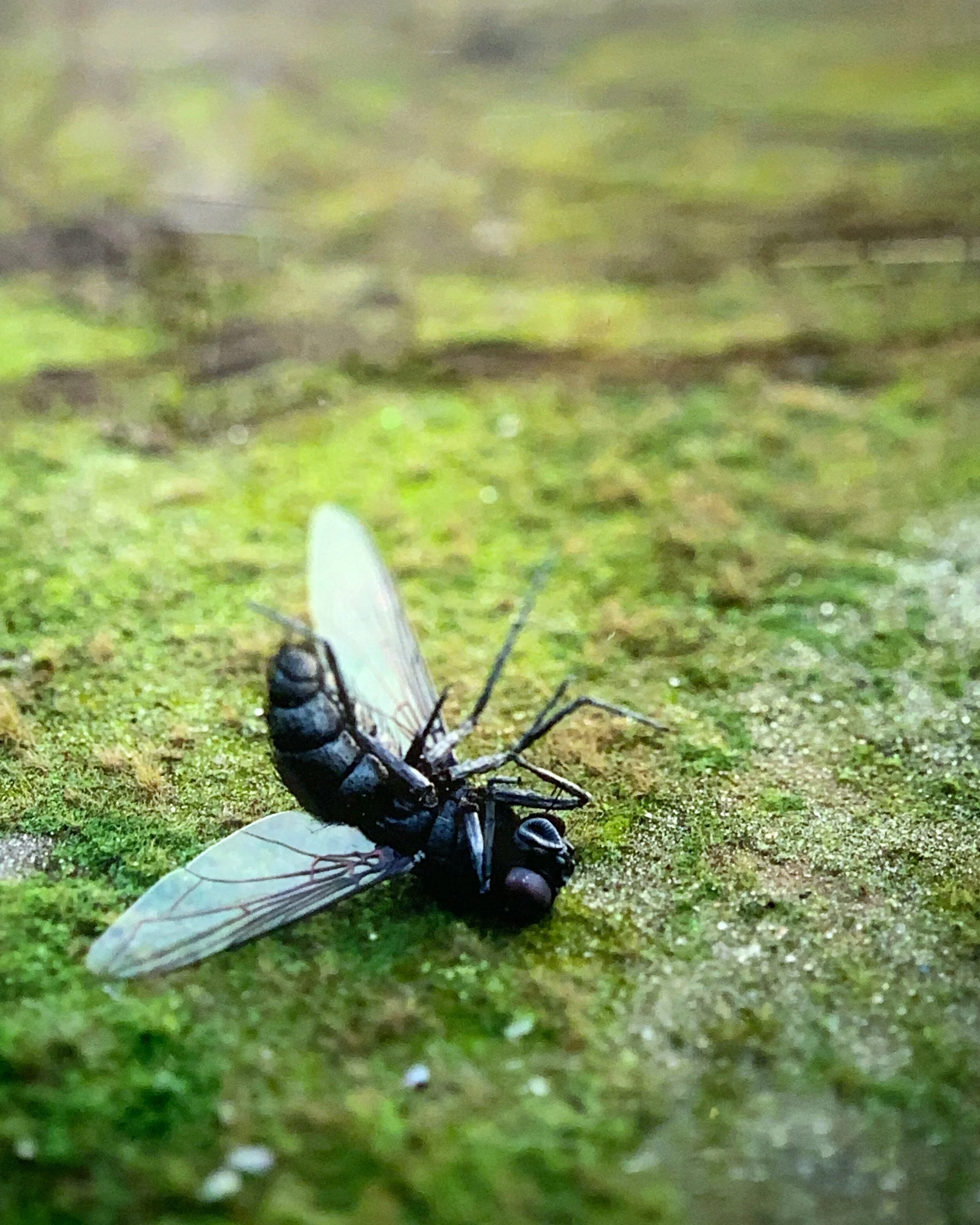 Michael John Hunter: The More Things Change at JPS Gallery