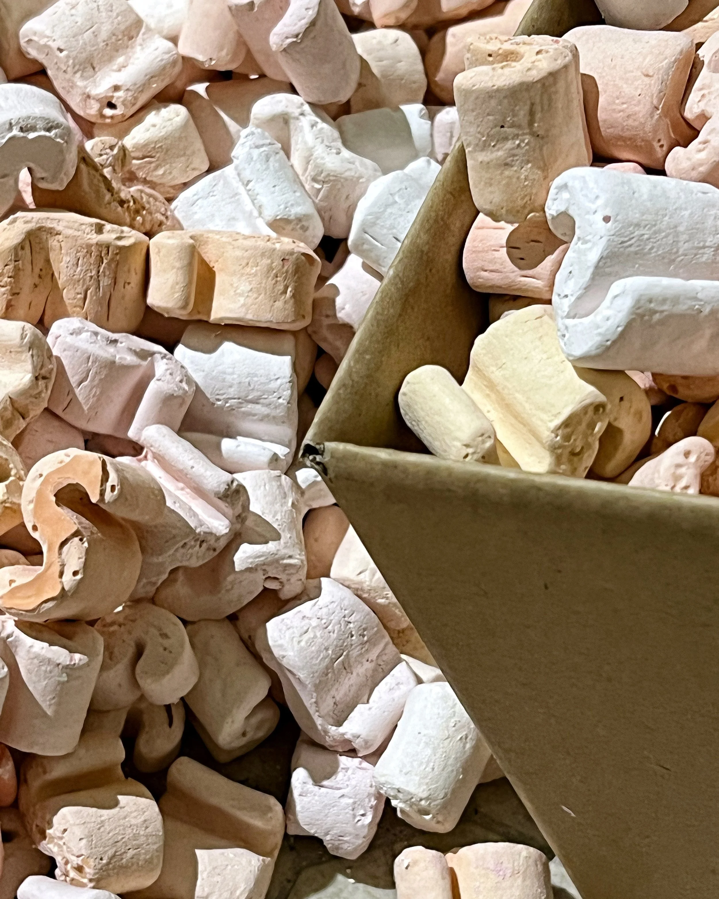 Fault Lines at Present Projects