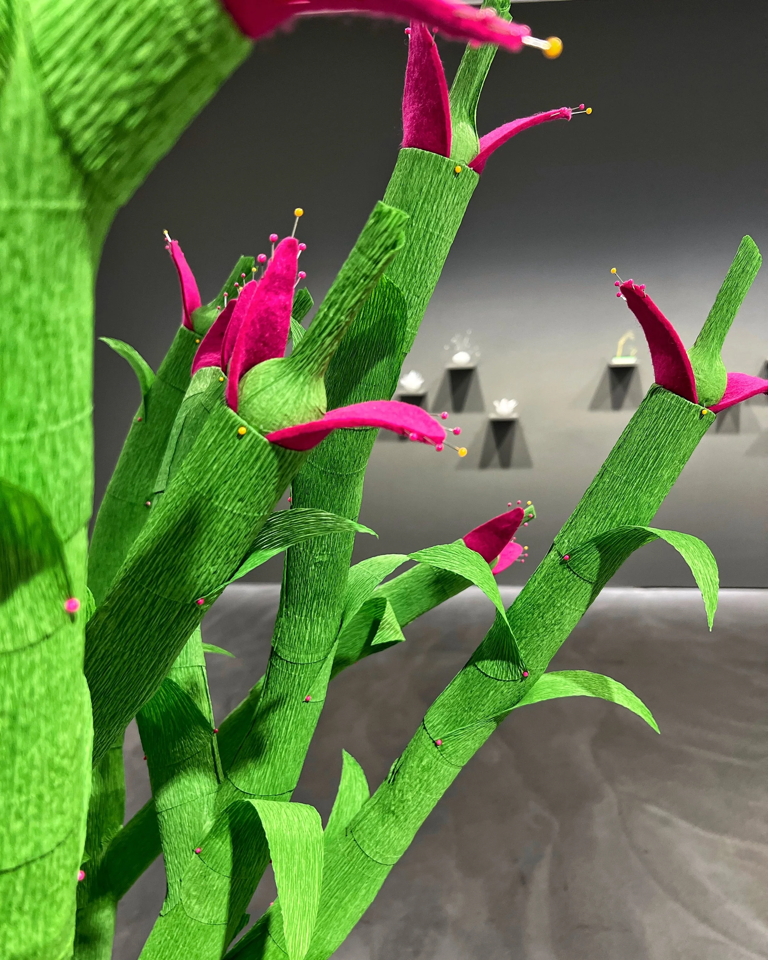 Nina Katchadourian: Natural Selection at Pace Gallery