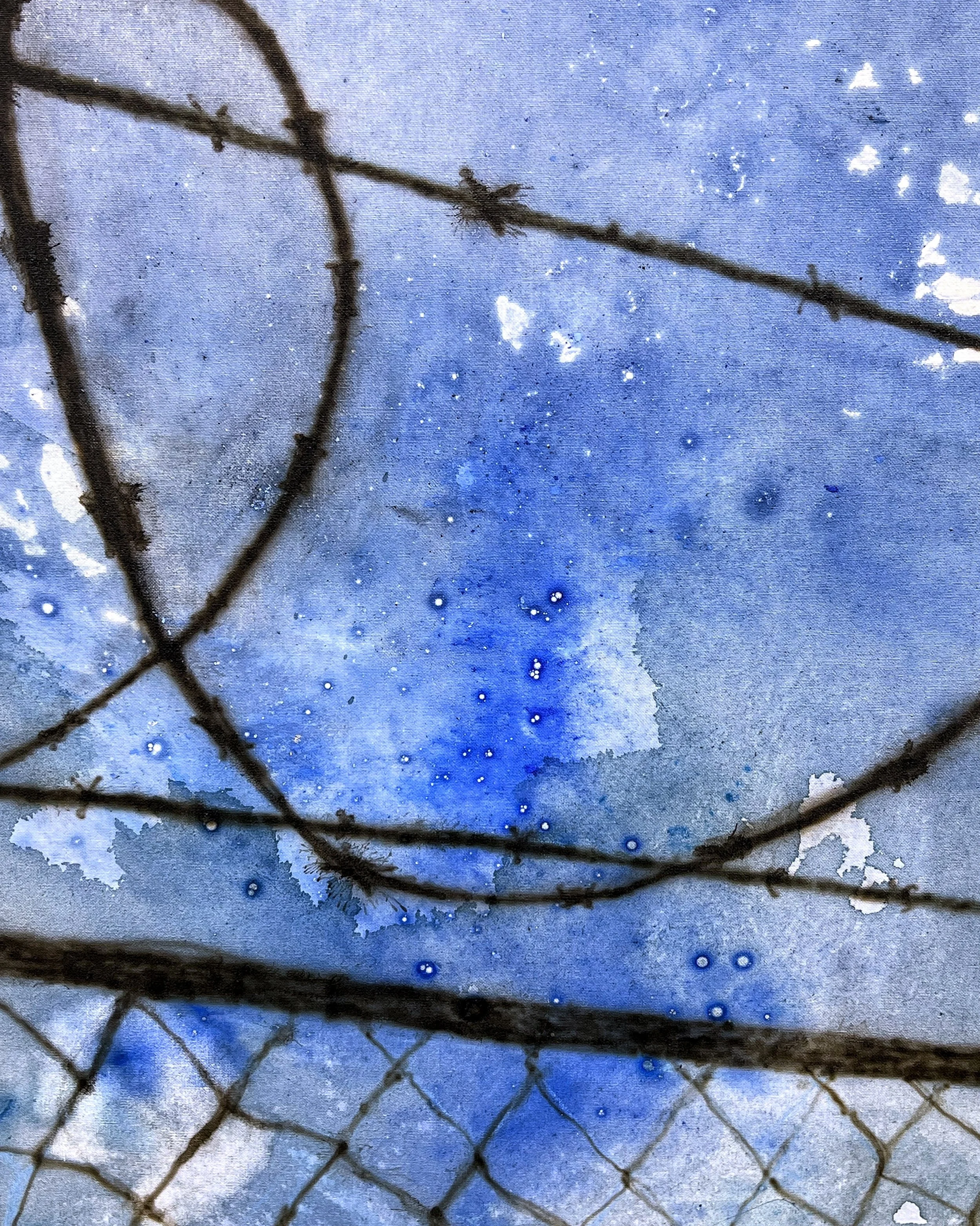 Paula Kamps: Shoot the Moon at Mine Project