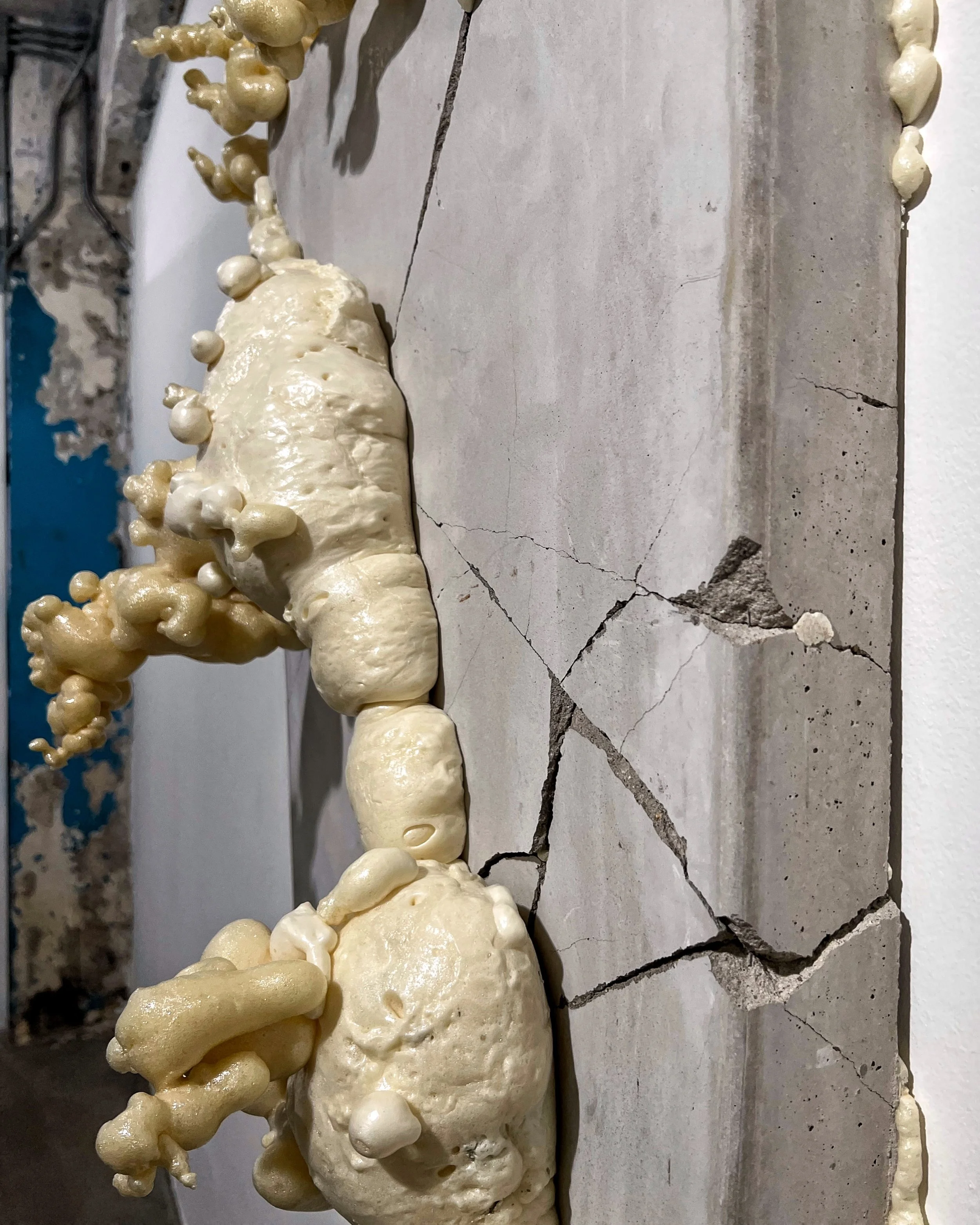 New Beginnings at Blindspot Gallery