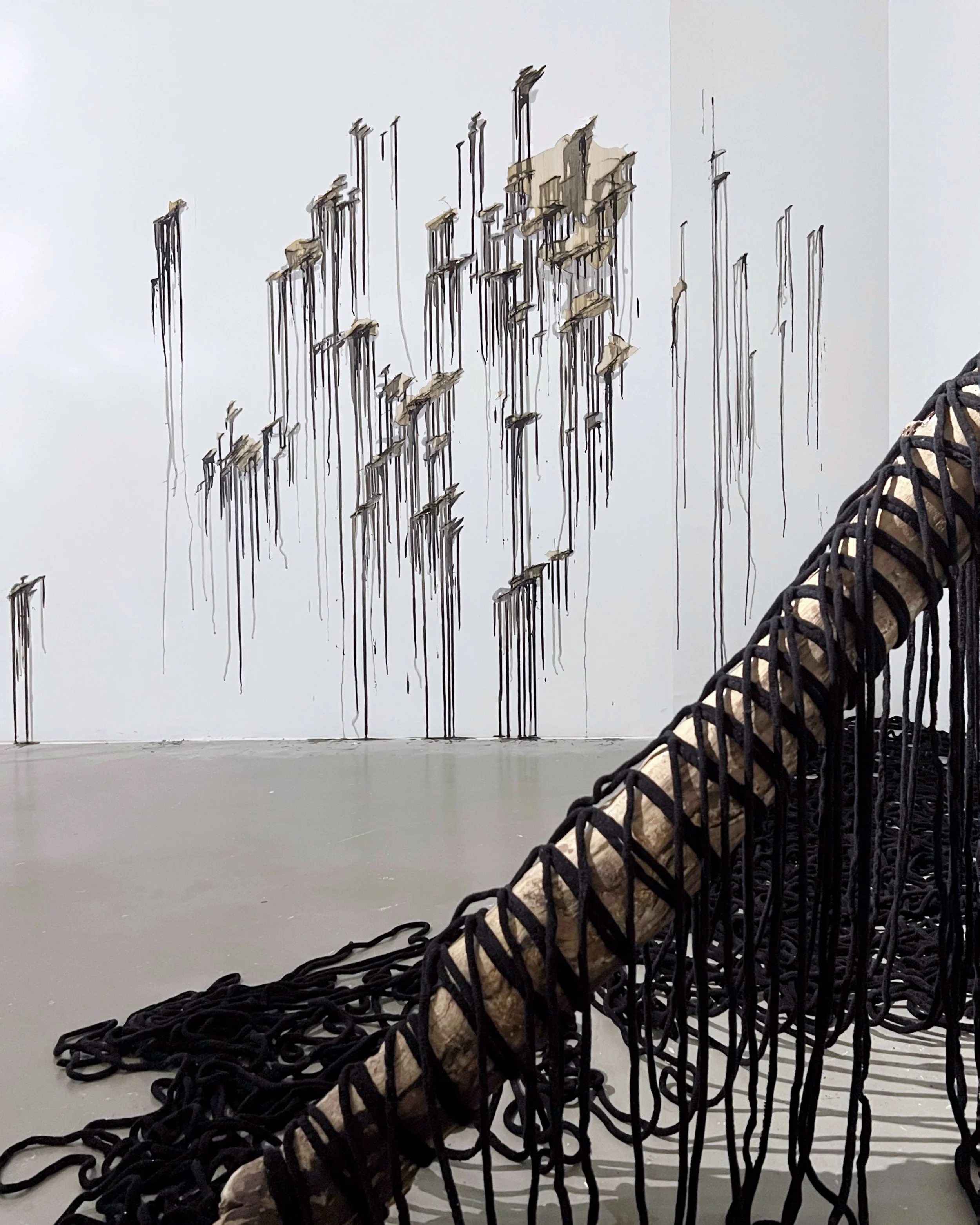 ‘Noble Rot’ Part Two at Para Site