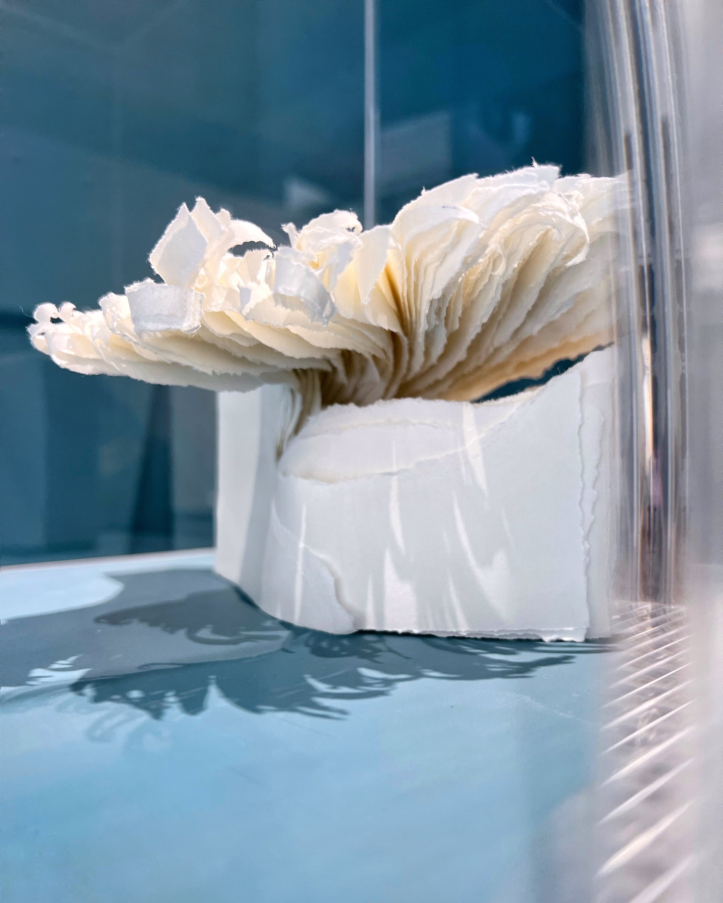 Angela Glajcar: Scale Matters at Karin Weber Gallery