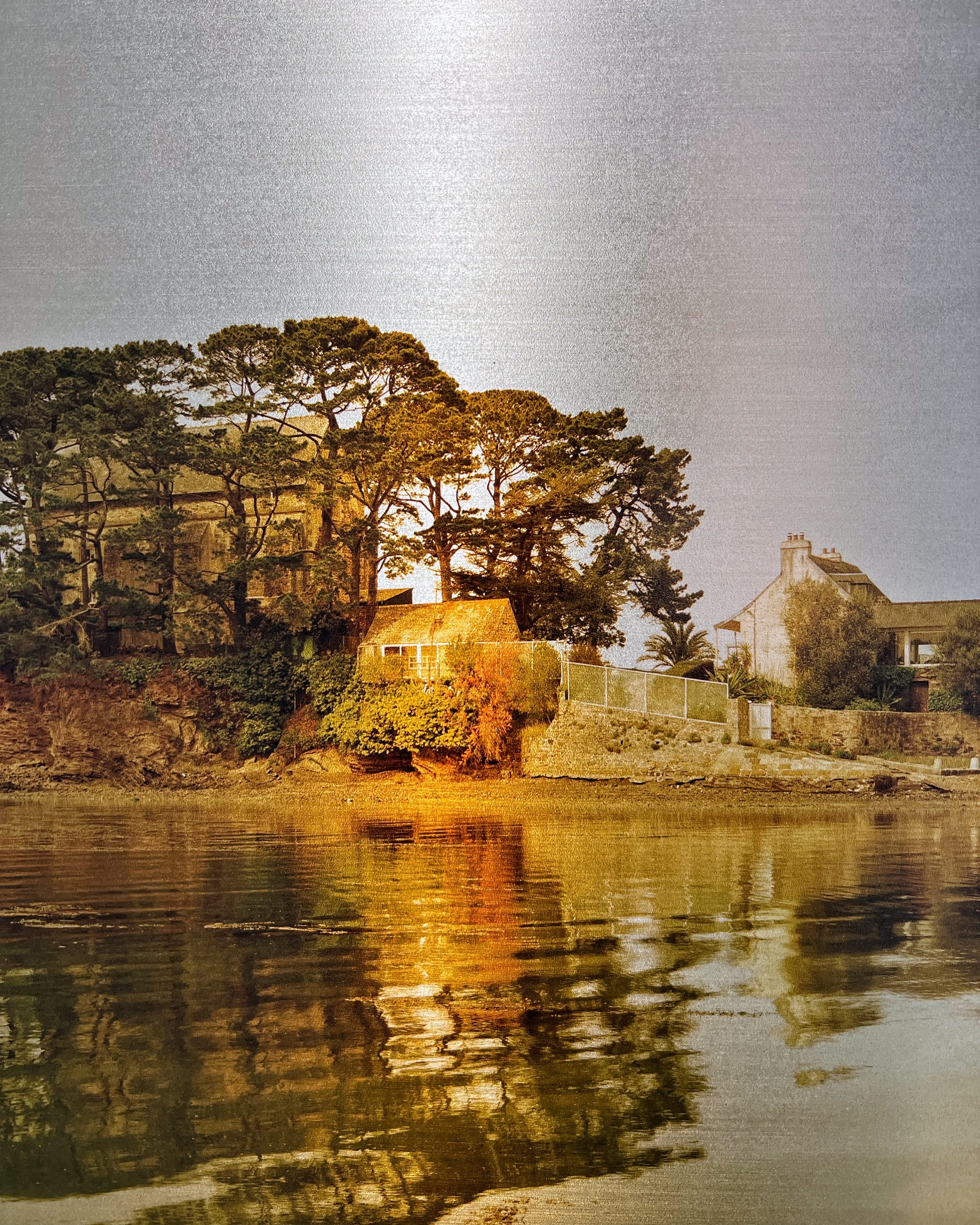 Elger Esser: Silberblumen at Flowers Gallery