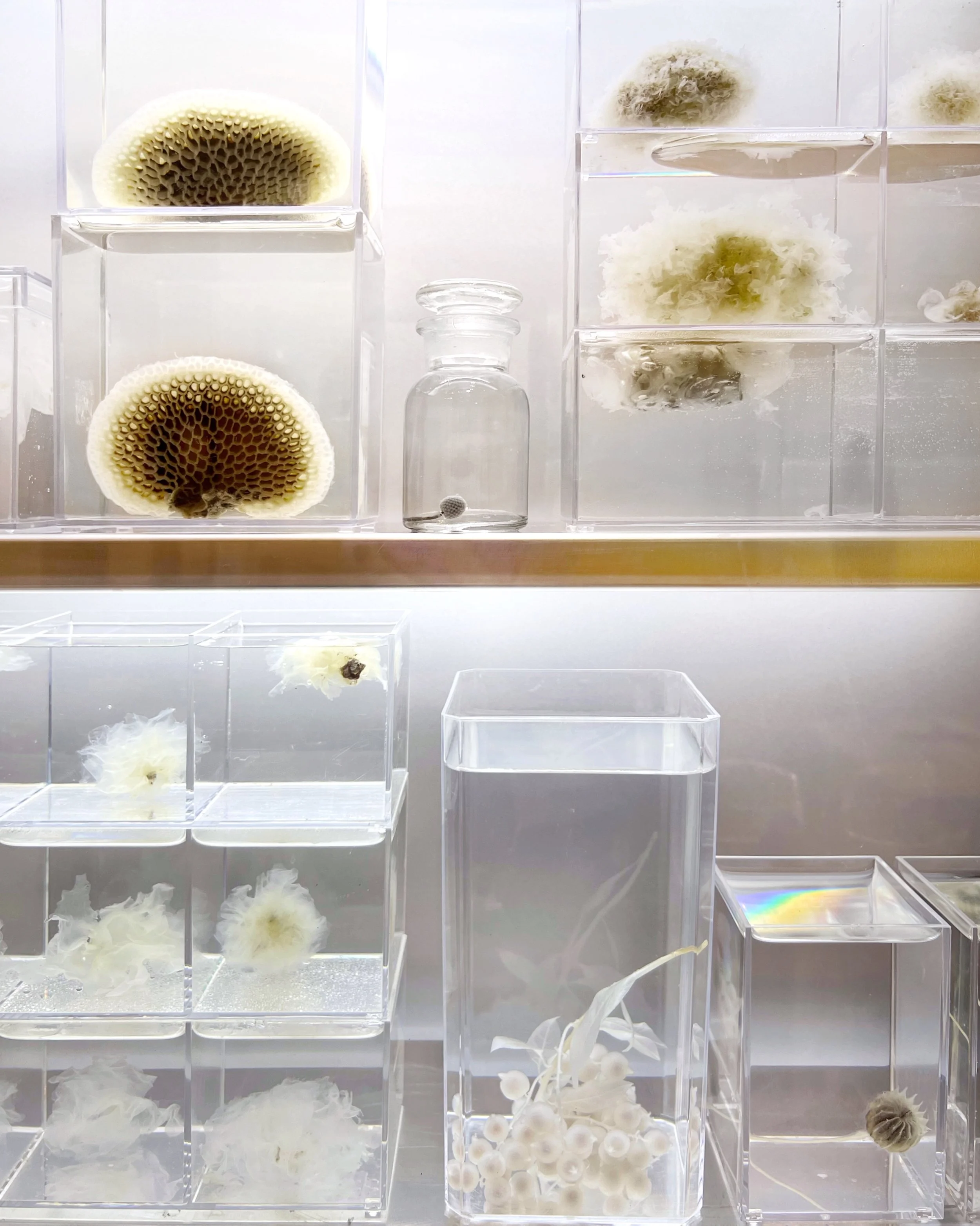 31 Women Artists Hong Kong at 10 Chancery Lane Gallery