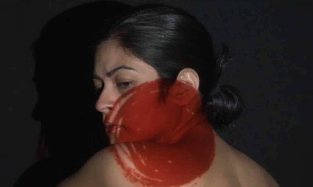 Nalini Malani: In Search of Vanished Blood at the M+ Facade