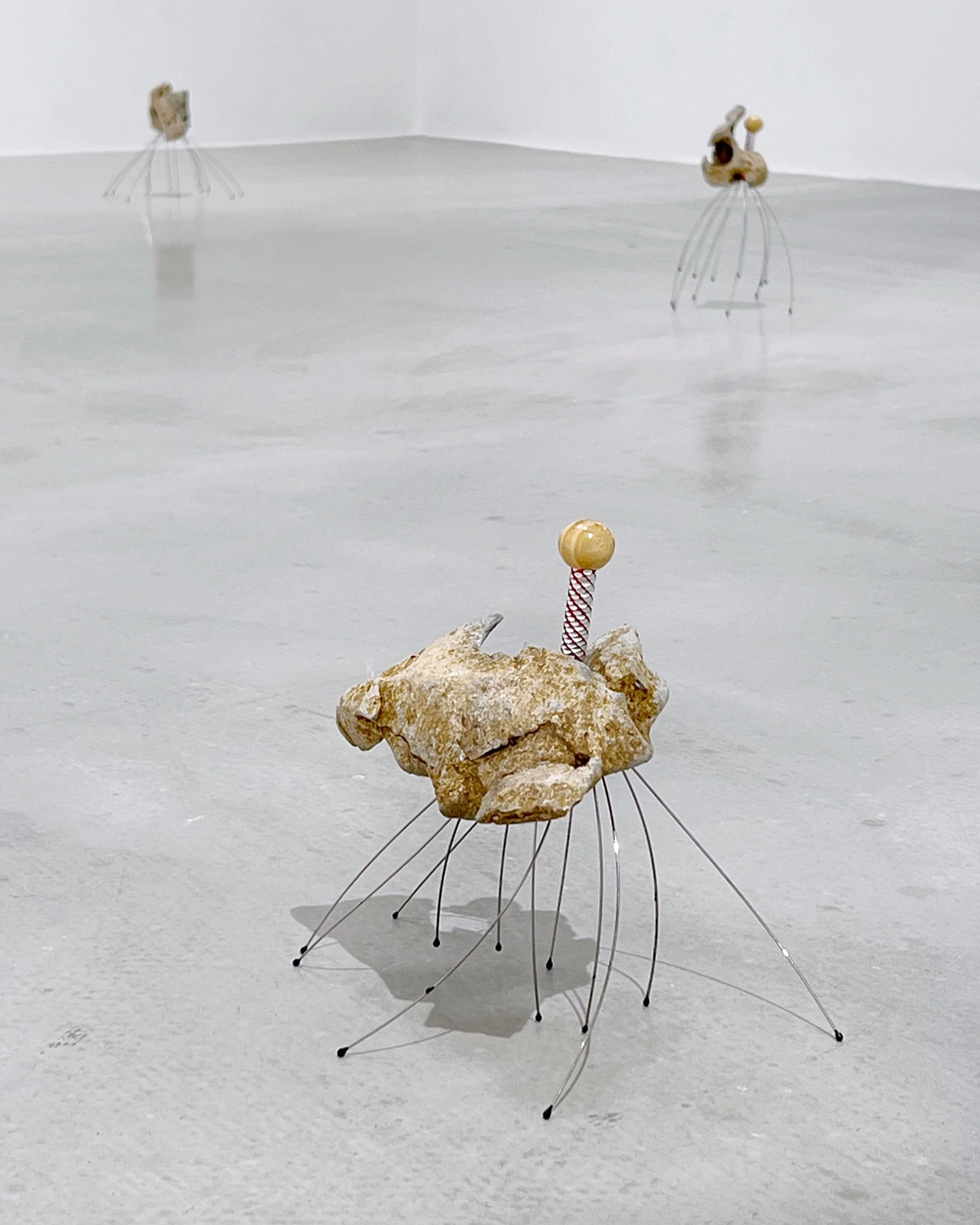 Xiong Jiaxiang: Interrupted Dream at Mine Project