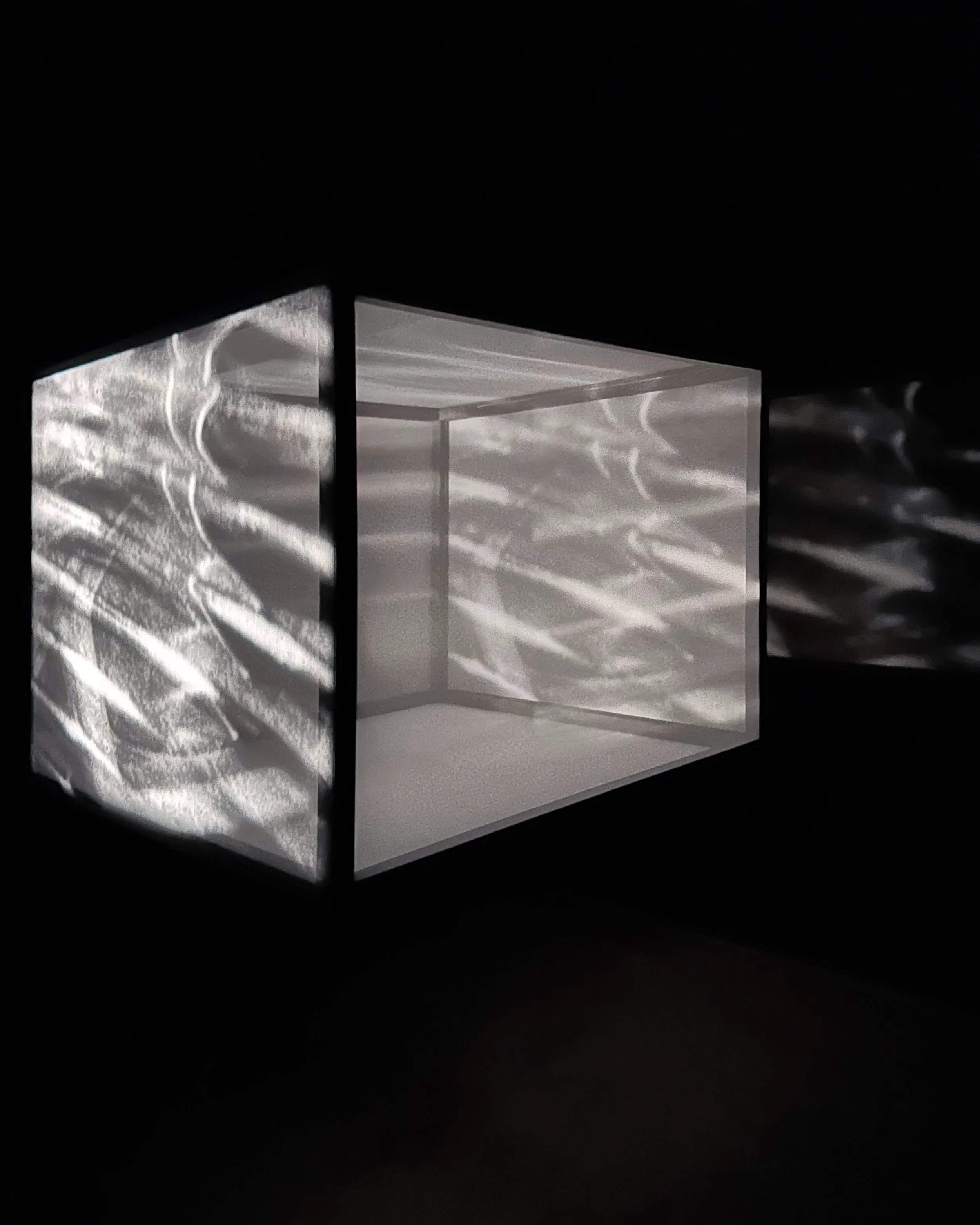 Raha Raissnia: نور at Empty Gallery