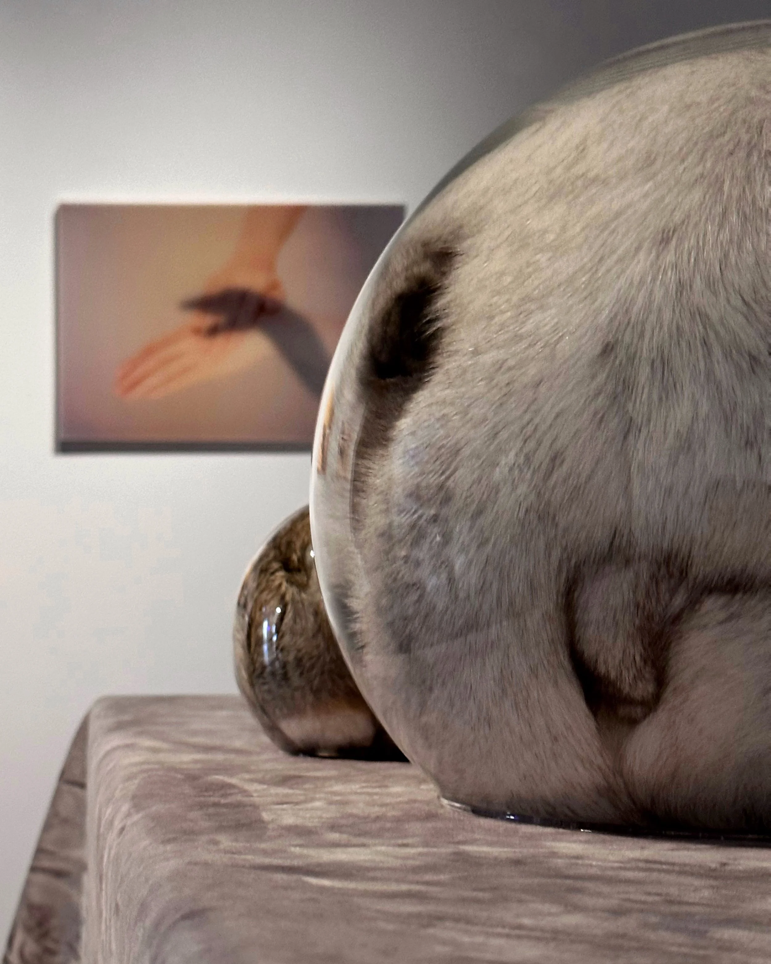 Nicole Wong: Cotton in the Ears, Furball in the Throat at Rossi&Rossi