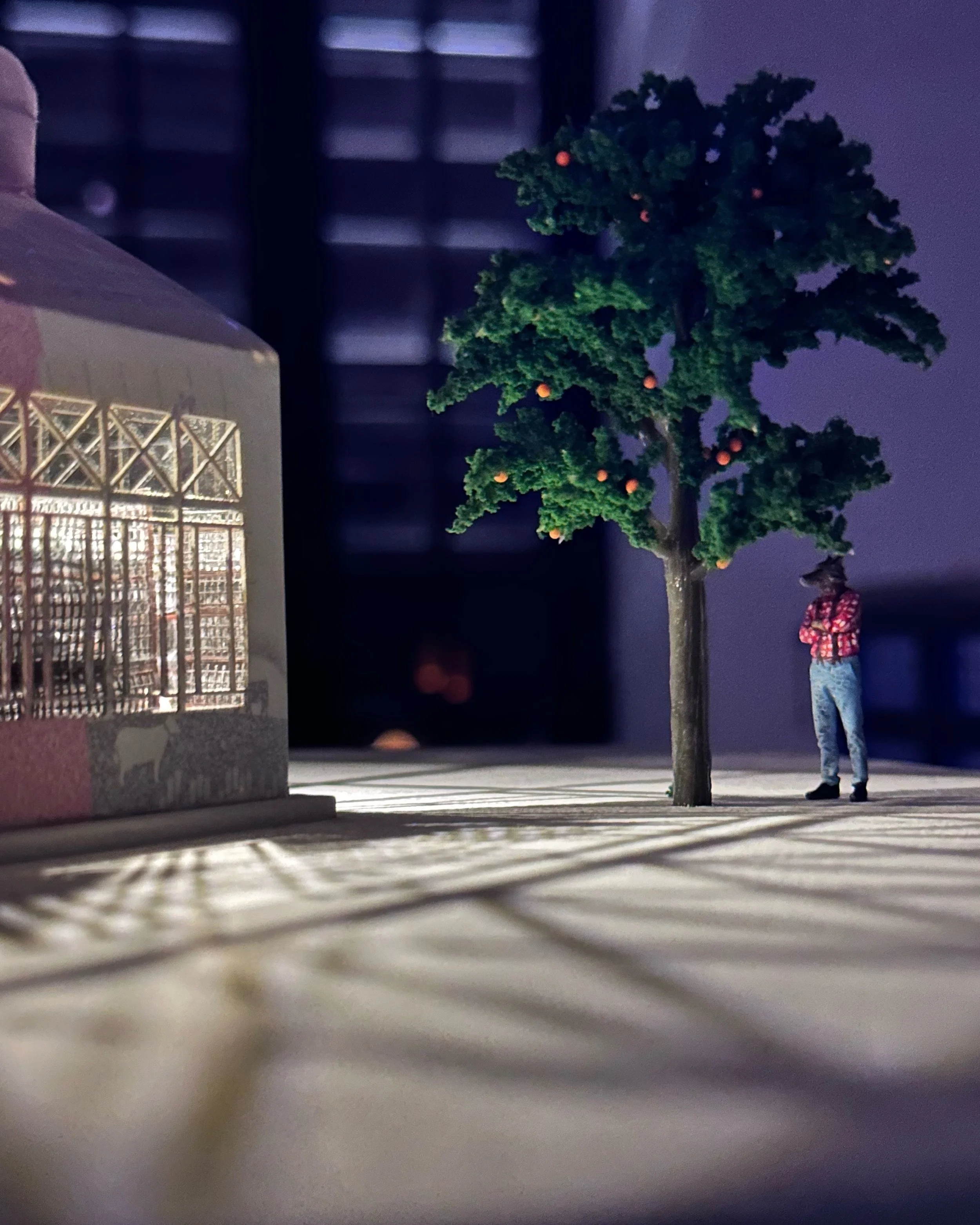 In Wonderland at Touch Gallery