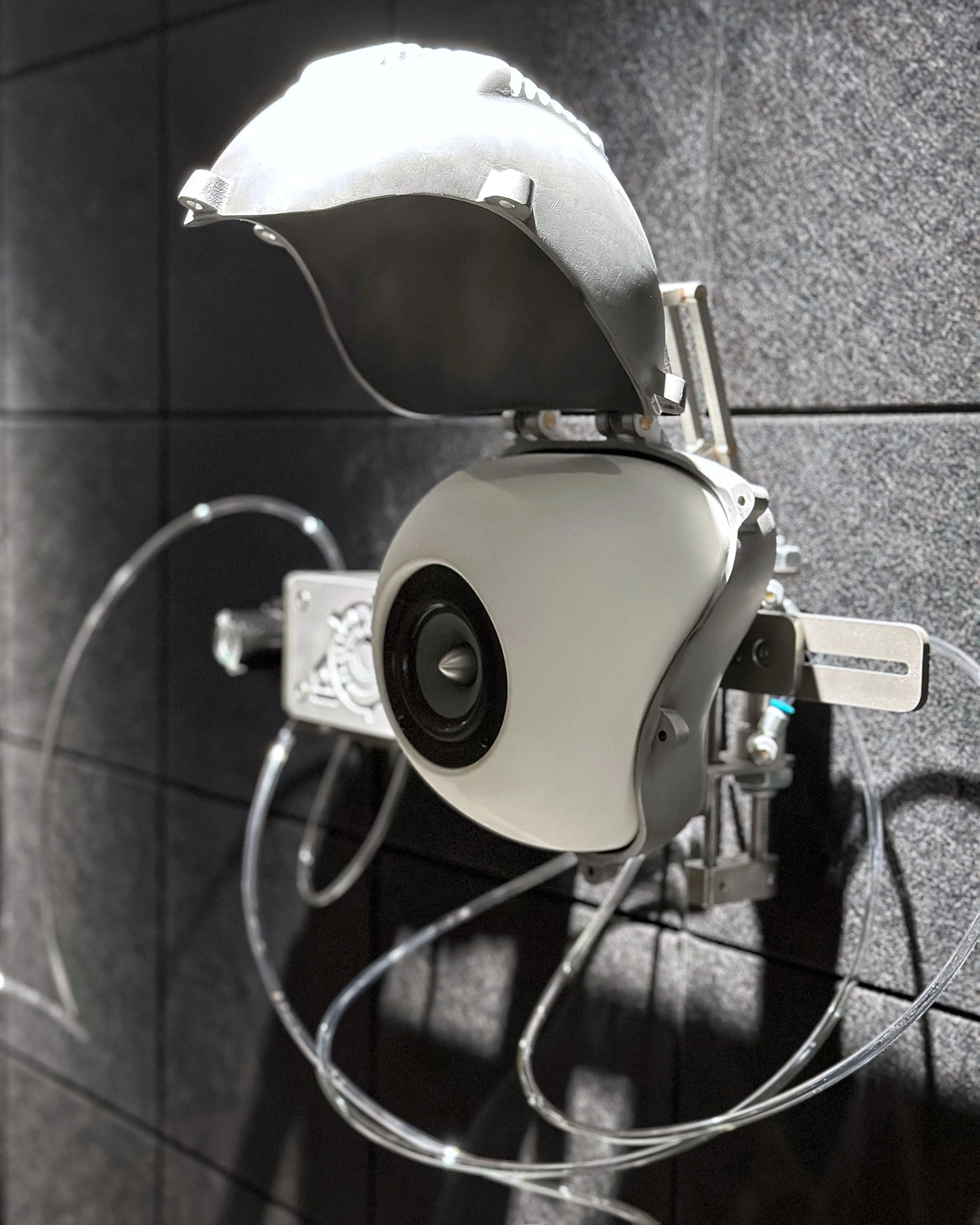 Harrison Pearce: Auto Soma at Mou Projects