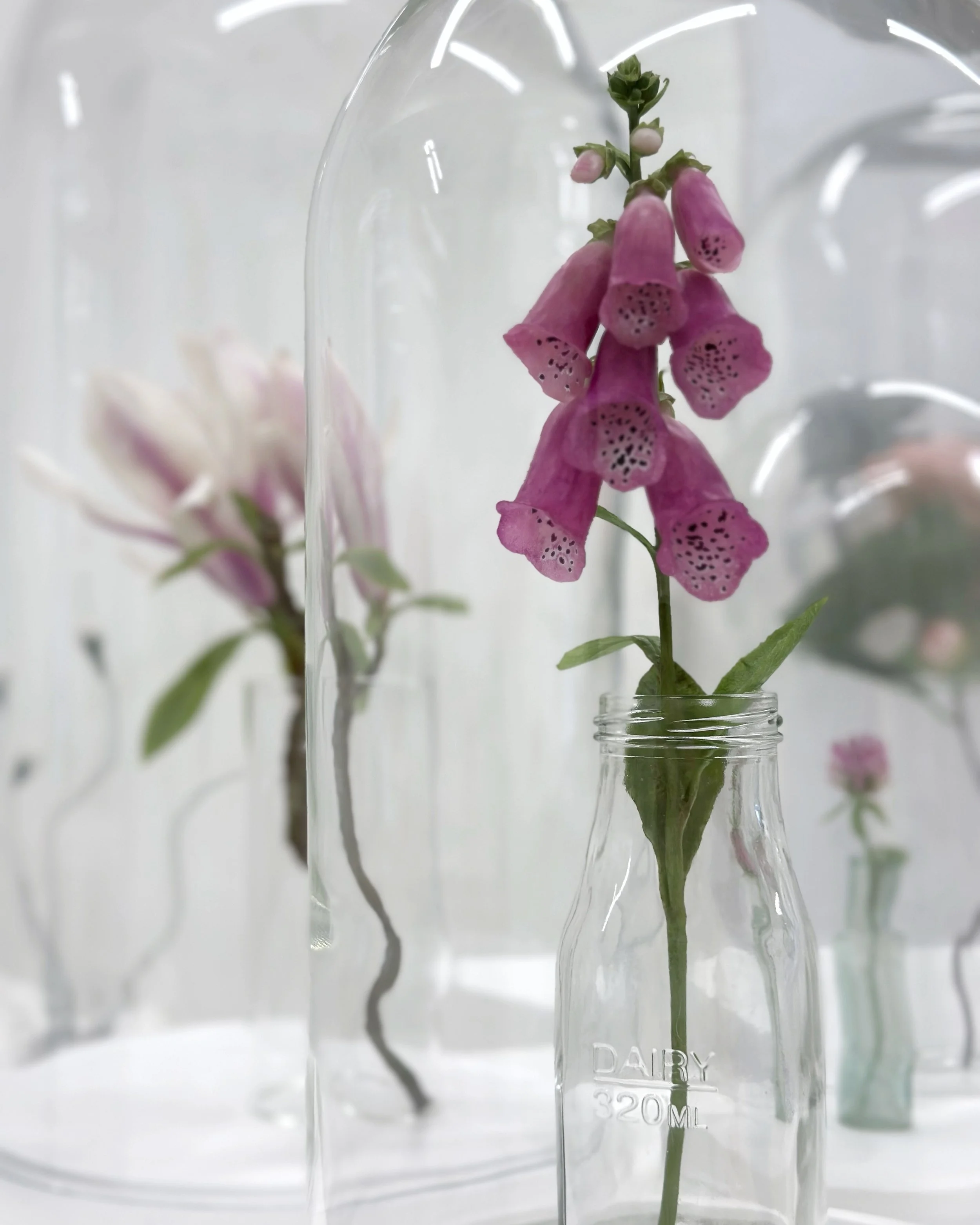 Botanical Wonders at Karin Weber Gallery