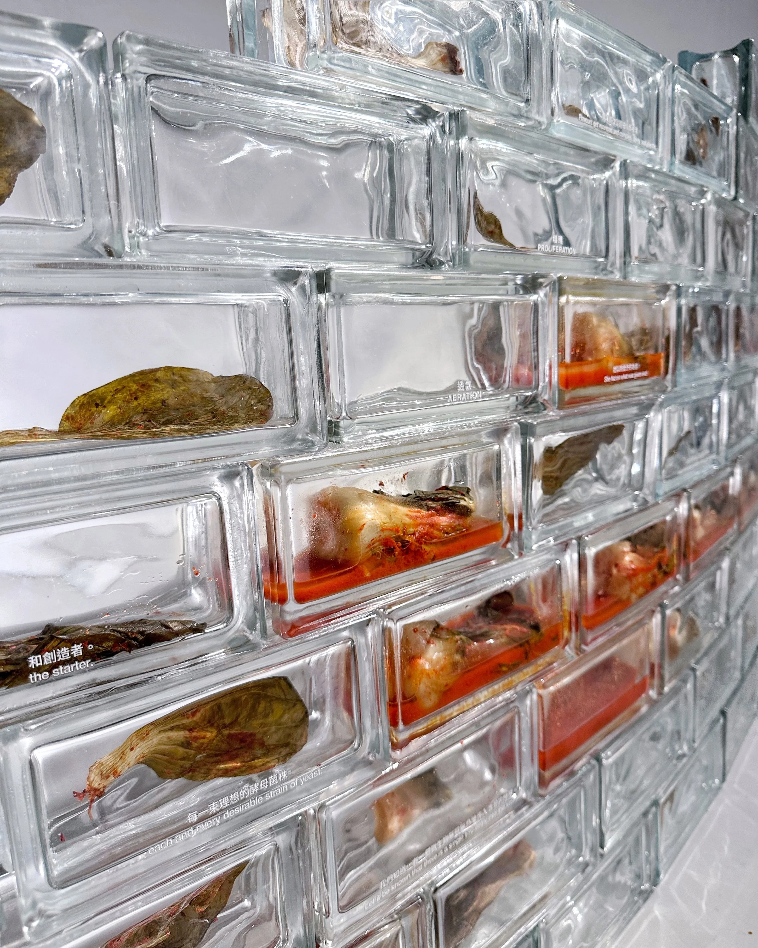 HKAS/RMIT Graduation Show: 遊園終日 Umarell at Pao Galleries