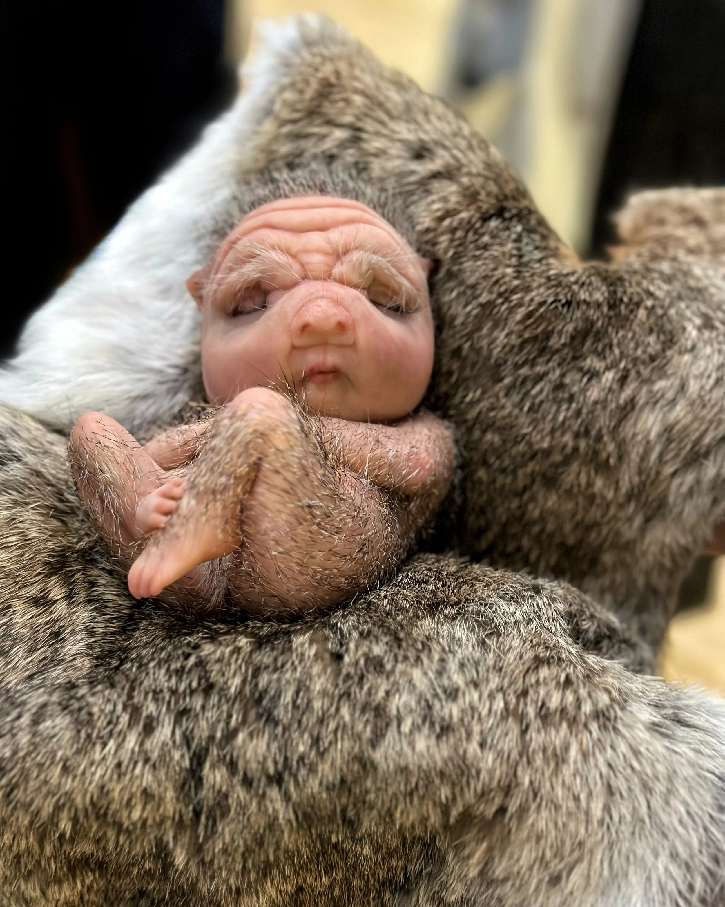 Patricia Piccinini: Hope at Tai Kwun Contemporary 