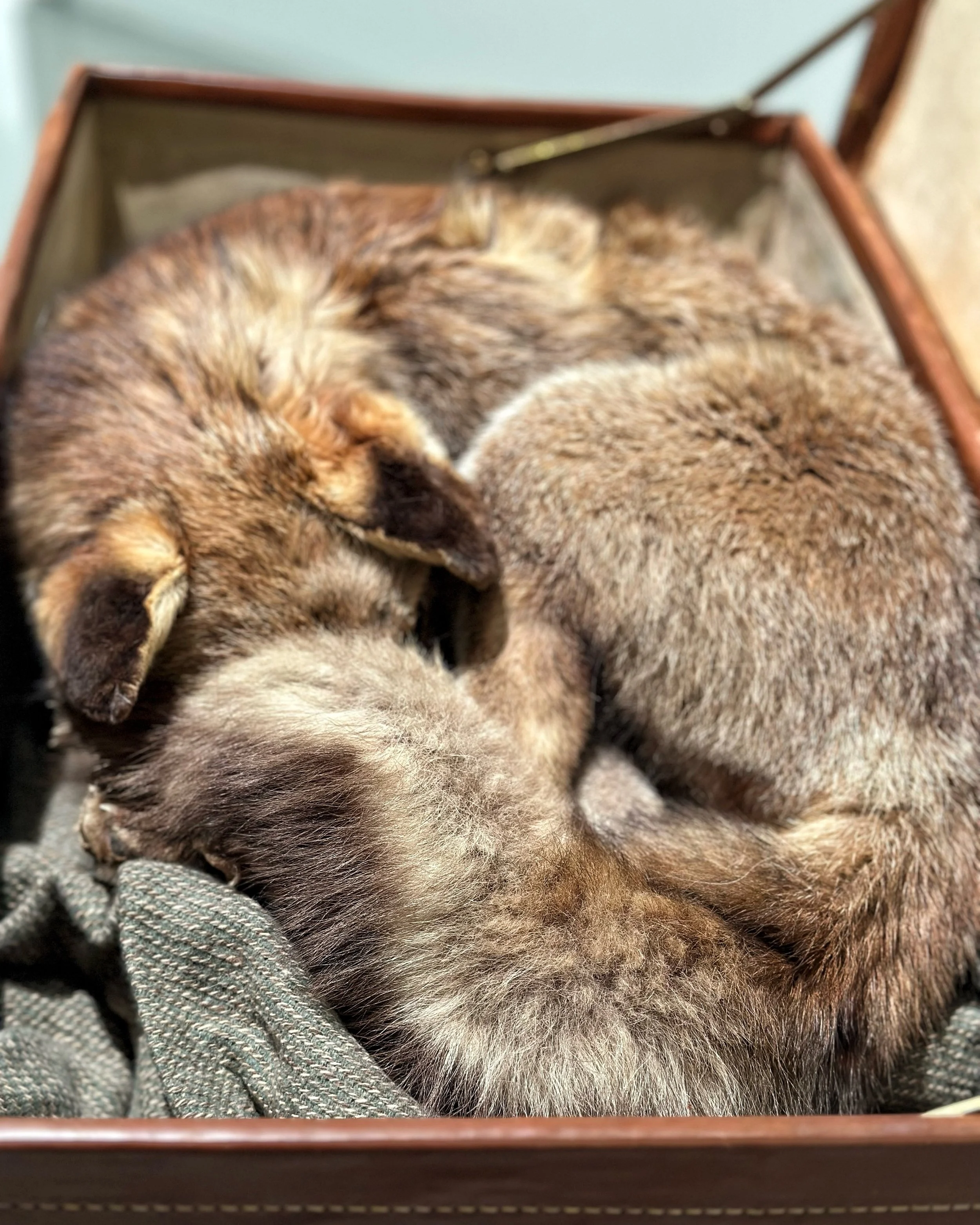 The Floating World at Ben Brown Fine Arts