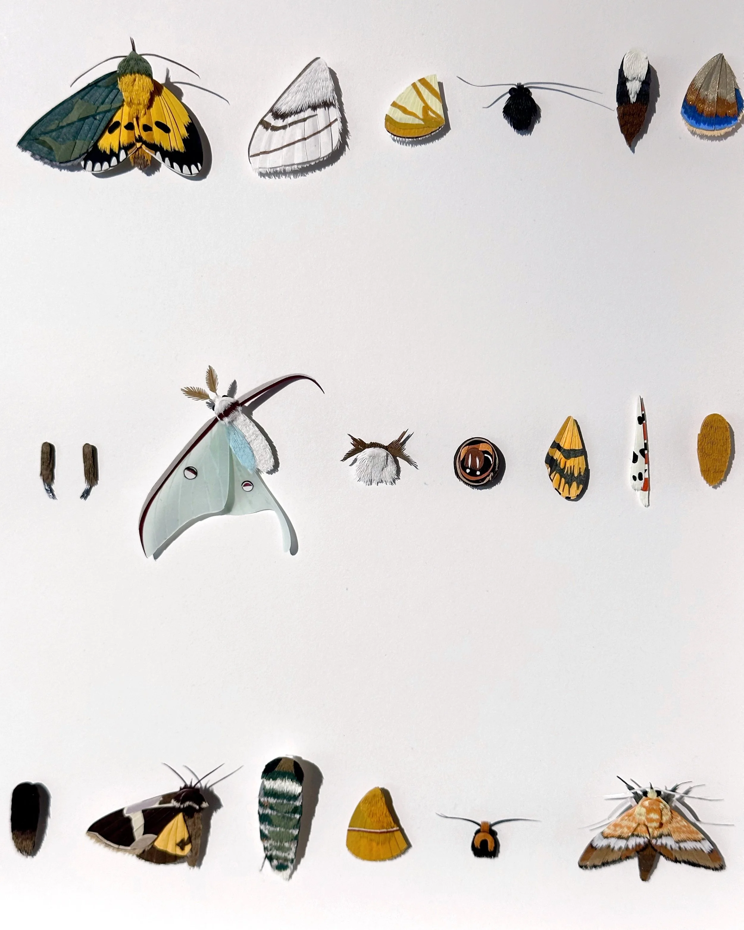 signals…瞬息: signals…here and there at Para Site