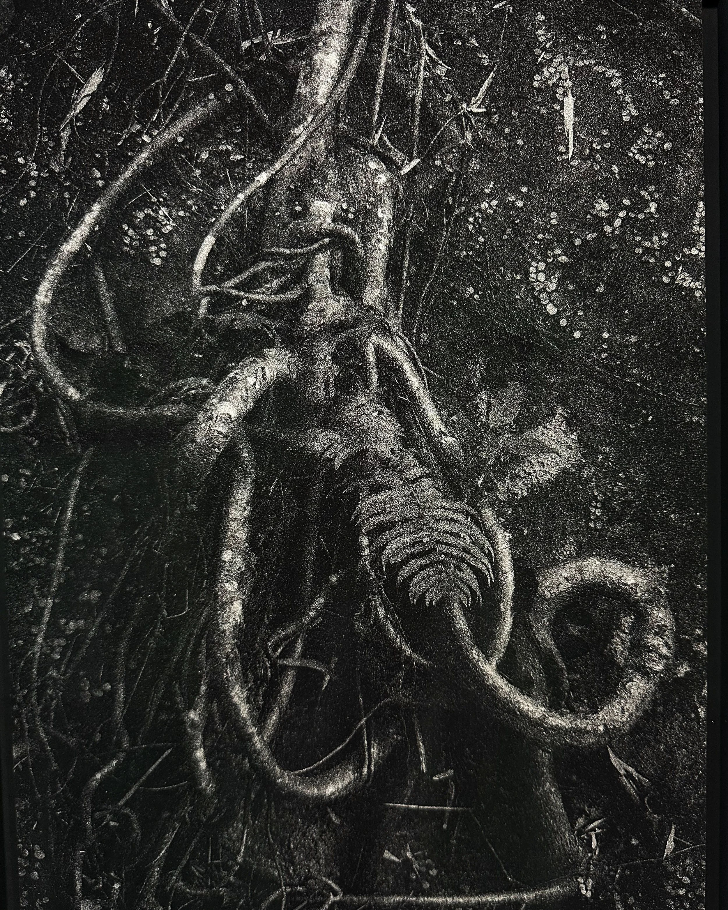 Fung Chim, Costanza Gastaldi: In Dialogue with Nature at Novalis Art Design